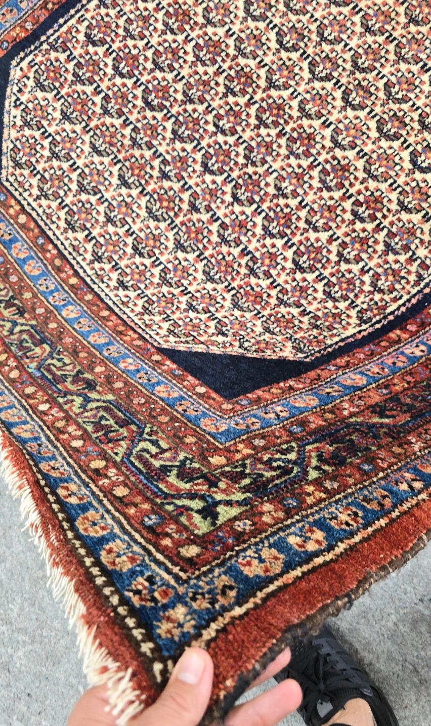 Tapis persan Malayer du début des années 1900 (Design/One) 4x6 Excellent état - En vente à Los Angeles, CA