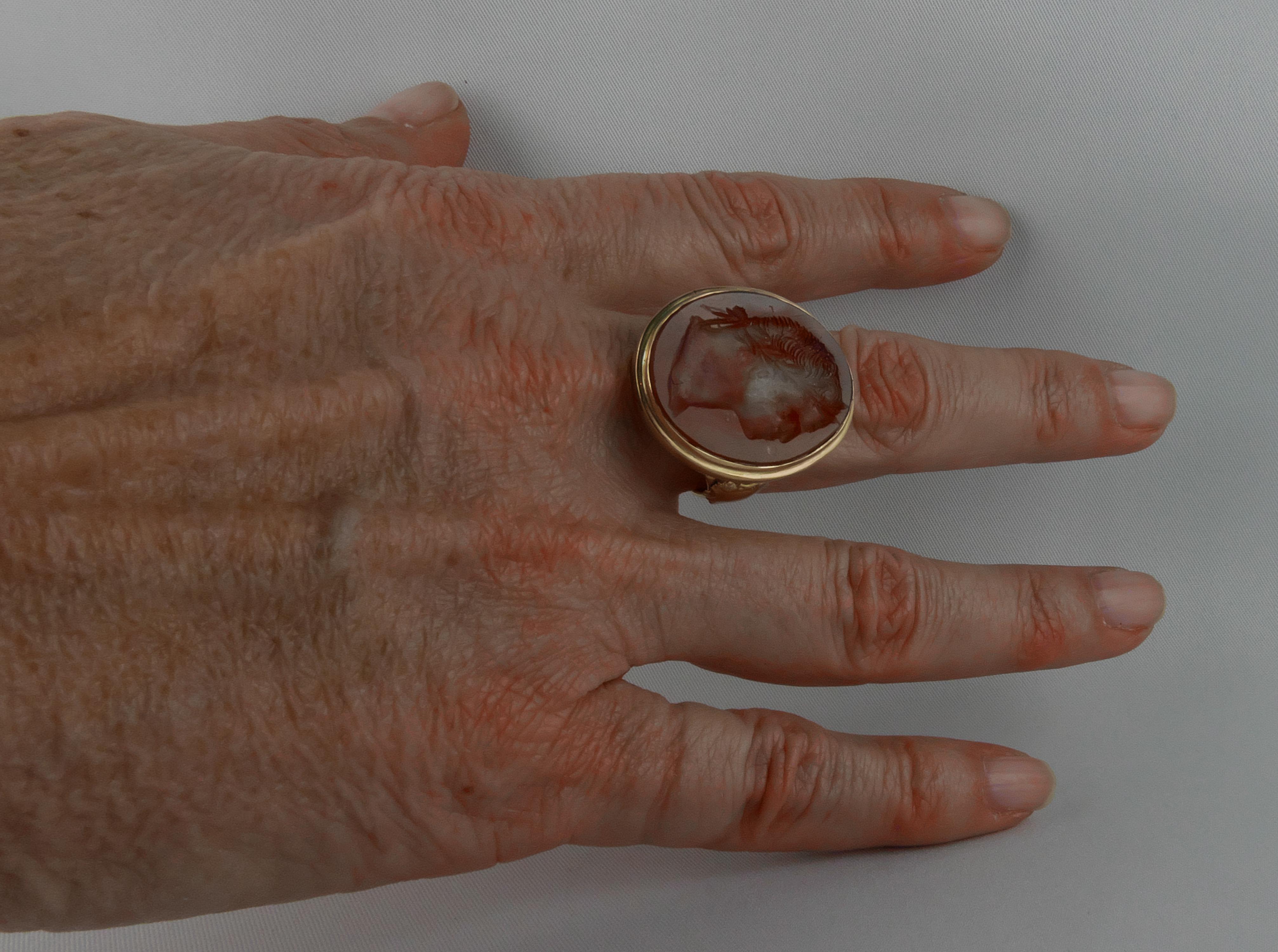Early 1900s Yellow Gold and Carved Carnelian Intaglio Unisex Ring For Sale 2