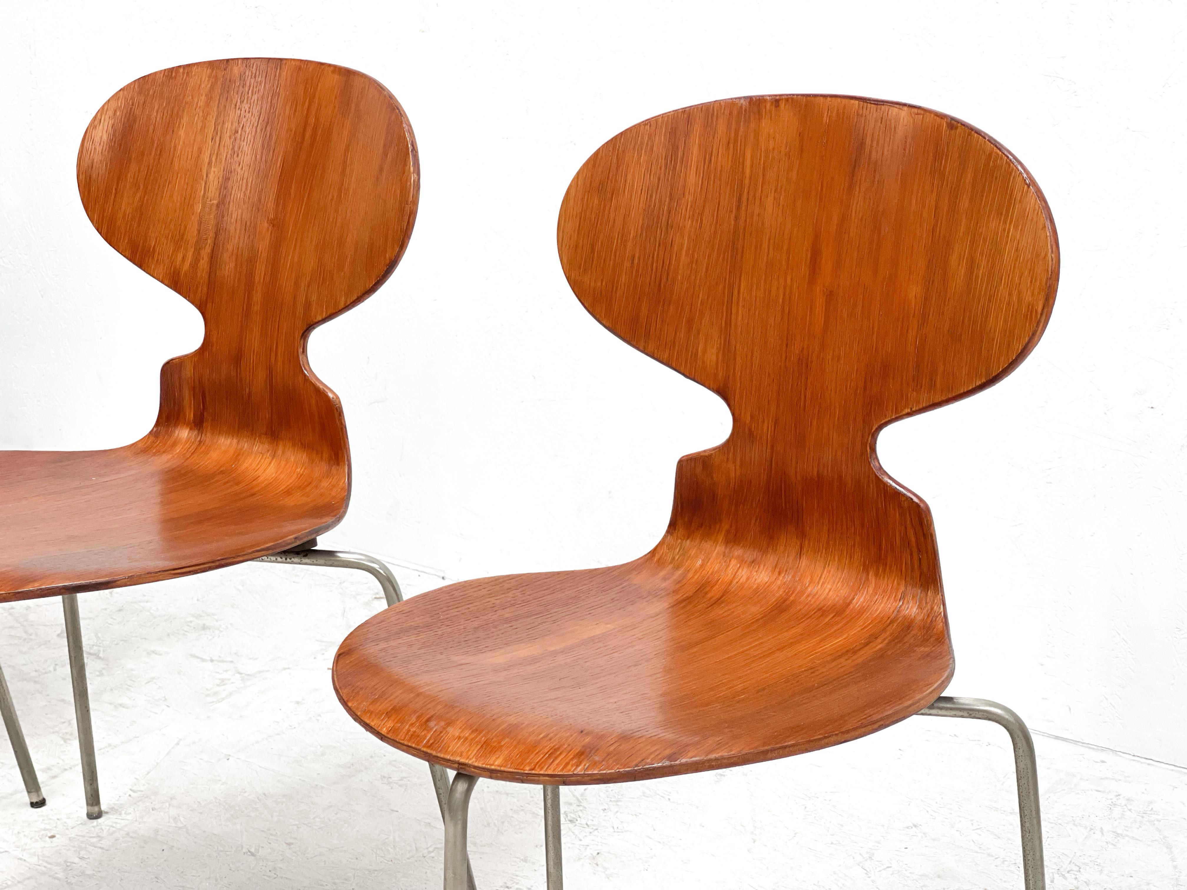 Danish Early 1950's Arne Jacobsen Ant Chairs for Fritz Hansen