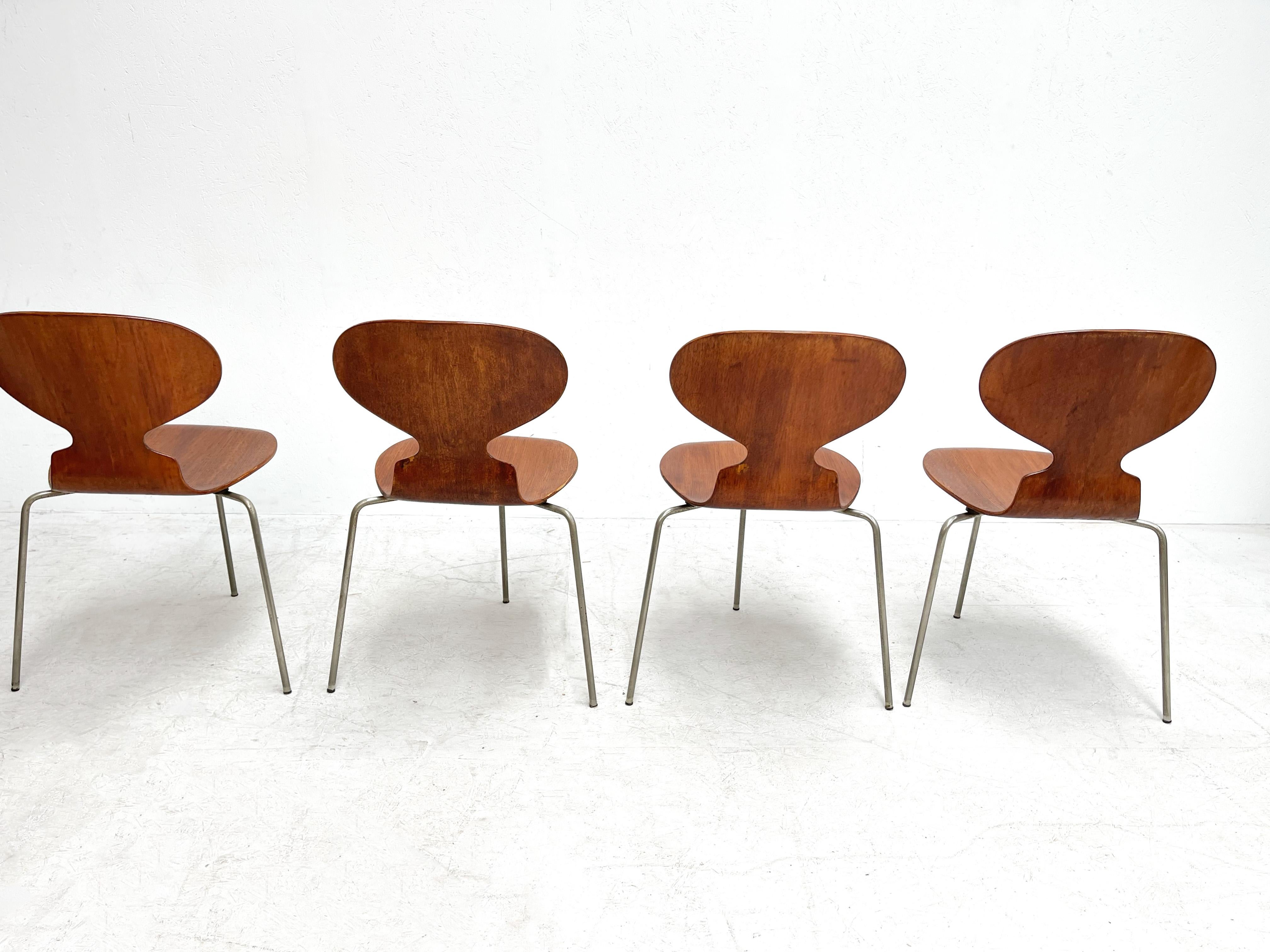 Early 1950's Arne Jacobsen Ant Chairs for Fritz Hansen In Fair Condition In Nijlen, VAN