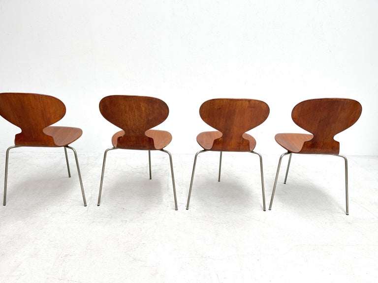 Early 1950's Arne Jacobsen Ant Chairs for Fritz Hansen In Fair Condition For Sale In Nijlen, VAN