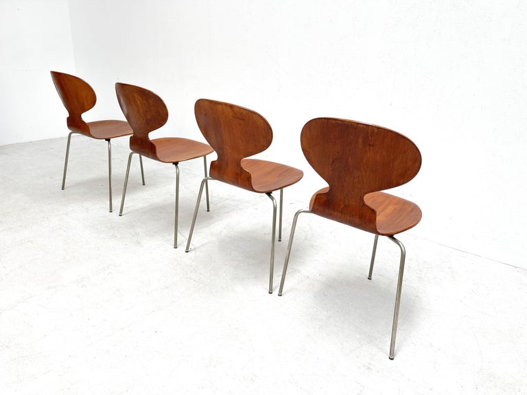 Oak Early 1950's Arne Jacobsen Ant Chairs for Fritz Hansen For Sale