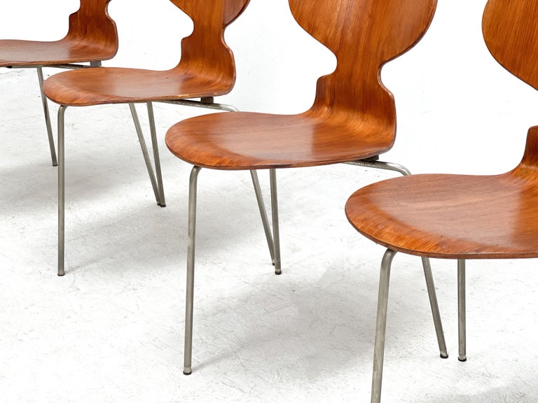 Early 1950's Arne Jacobsen Ant Chairs for Fritz Hansen For Sale 1