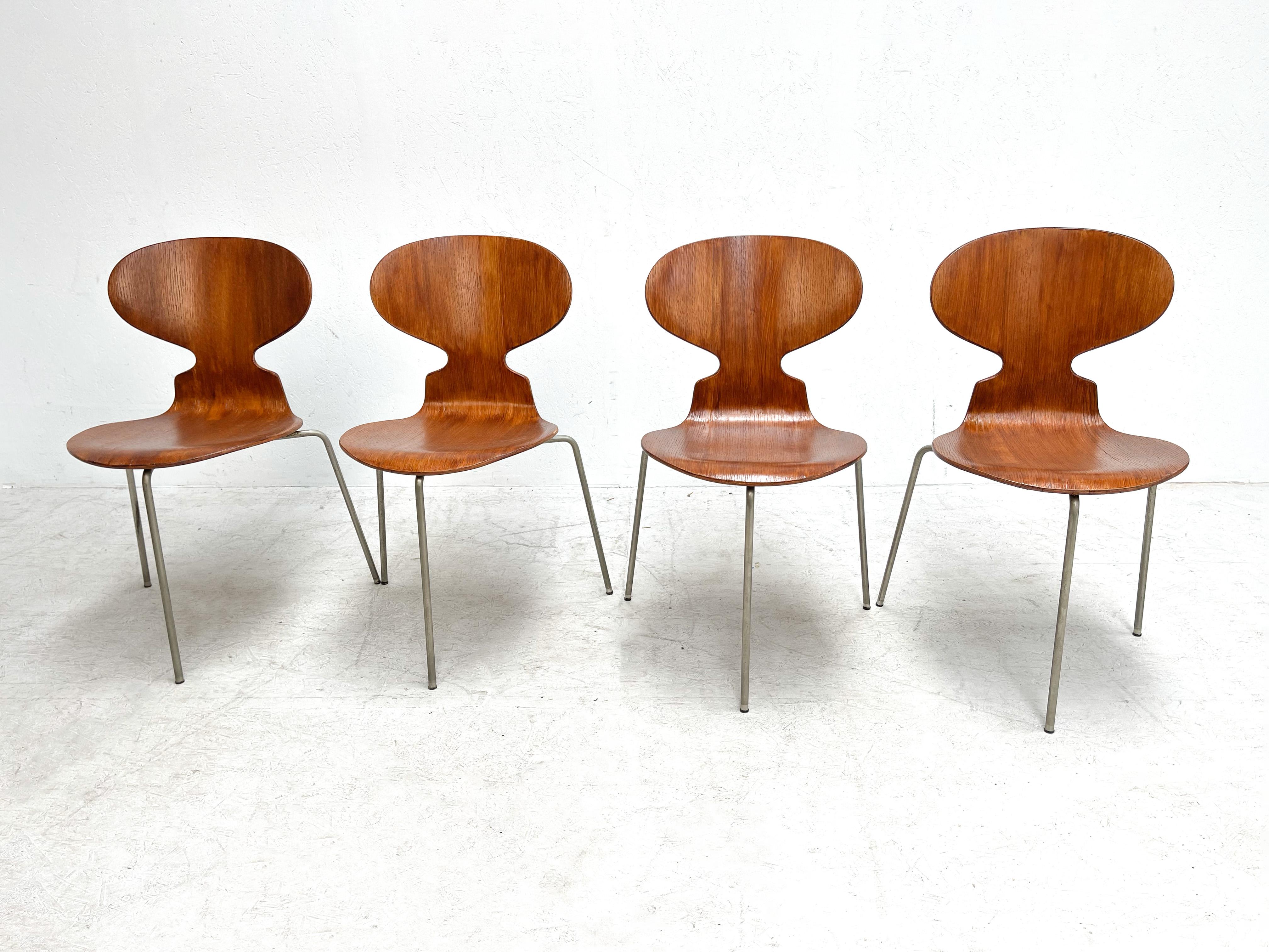 Early 1950's Arne Jacobsen Ant Chairs for Fritz Hansen 2