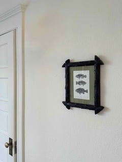 Early 19th c Black Forest Framed C. Motte Fish Engraving, on Grasscloth