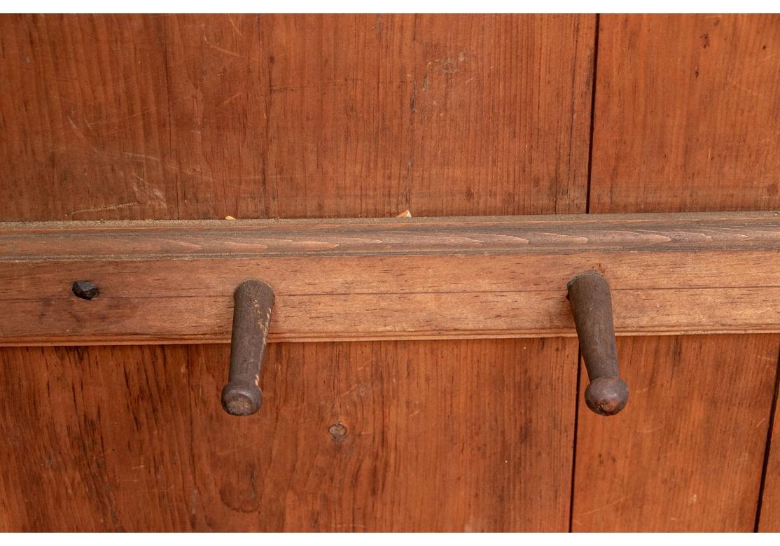 Early 19th C. Canadian Paint Decorated Pine Armoire For Sale 7