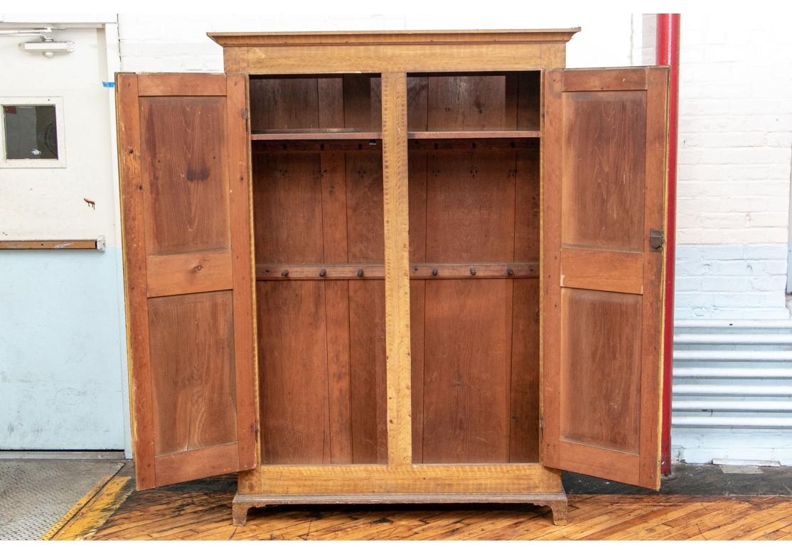 Early 19th C. Canadian Paint Decorated Pine Armoire For Sale 2