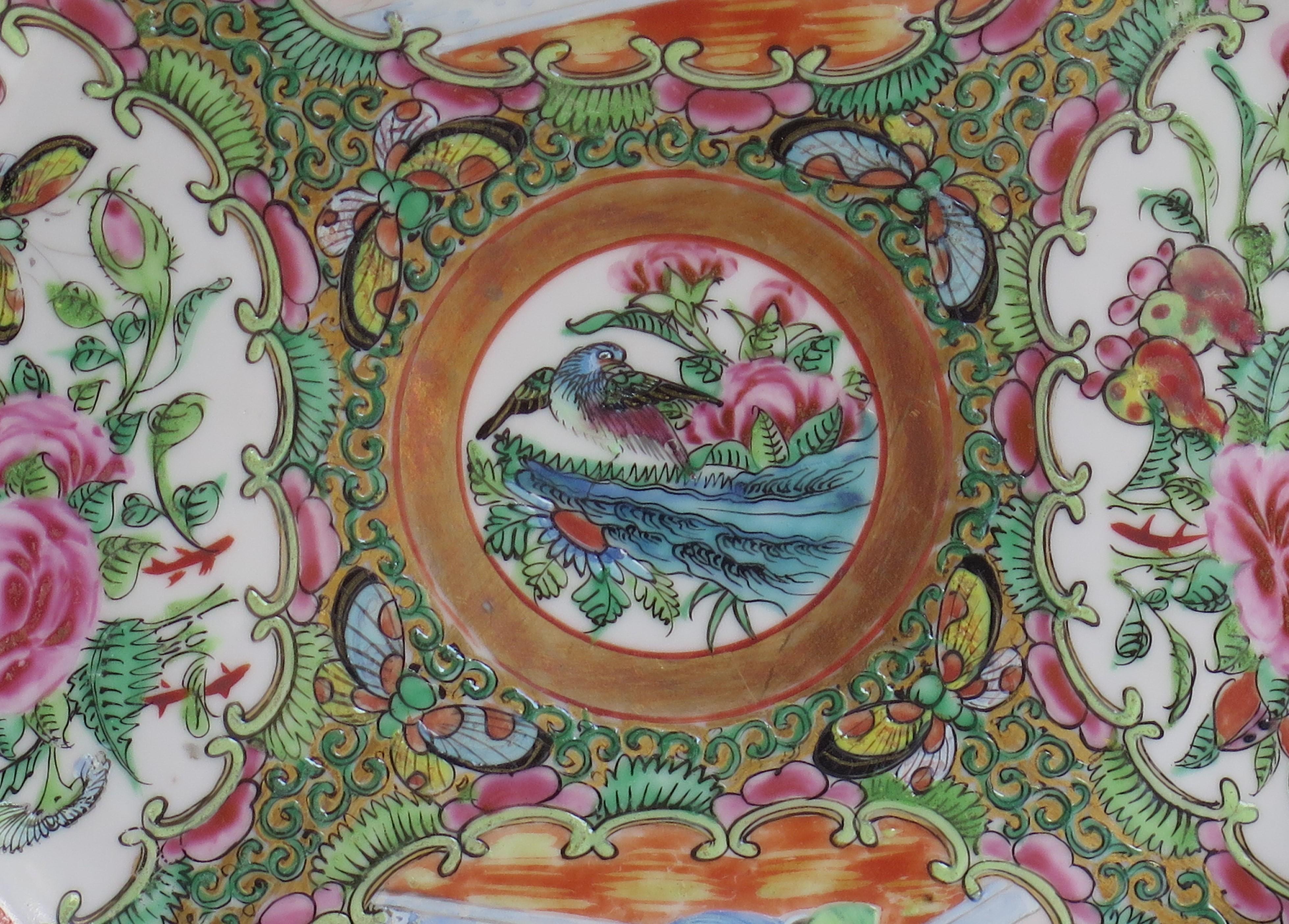 Chinese Export Porcelain Dinner Plate Rose Medallion, Qing Ca 1820 4