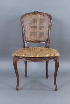 Early 19th Century French Beech Bergère Cane Salon Chair