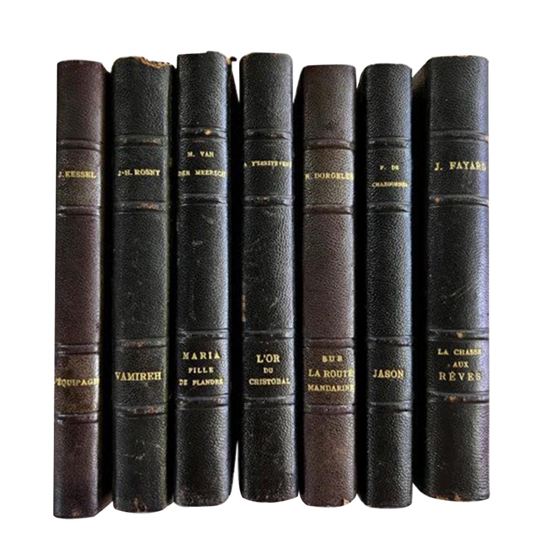 Paper Early 19th C. French, Parisienne Leather Fiction Books For Sale