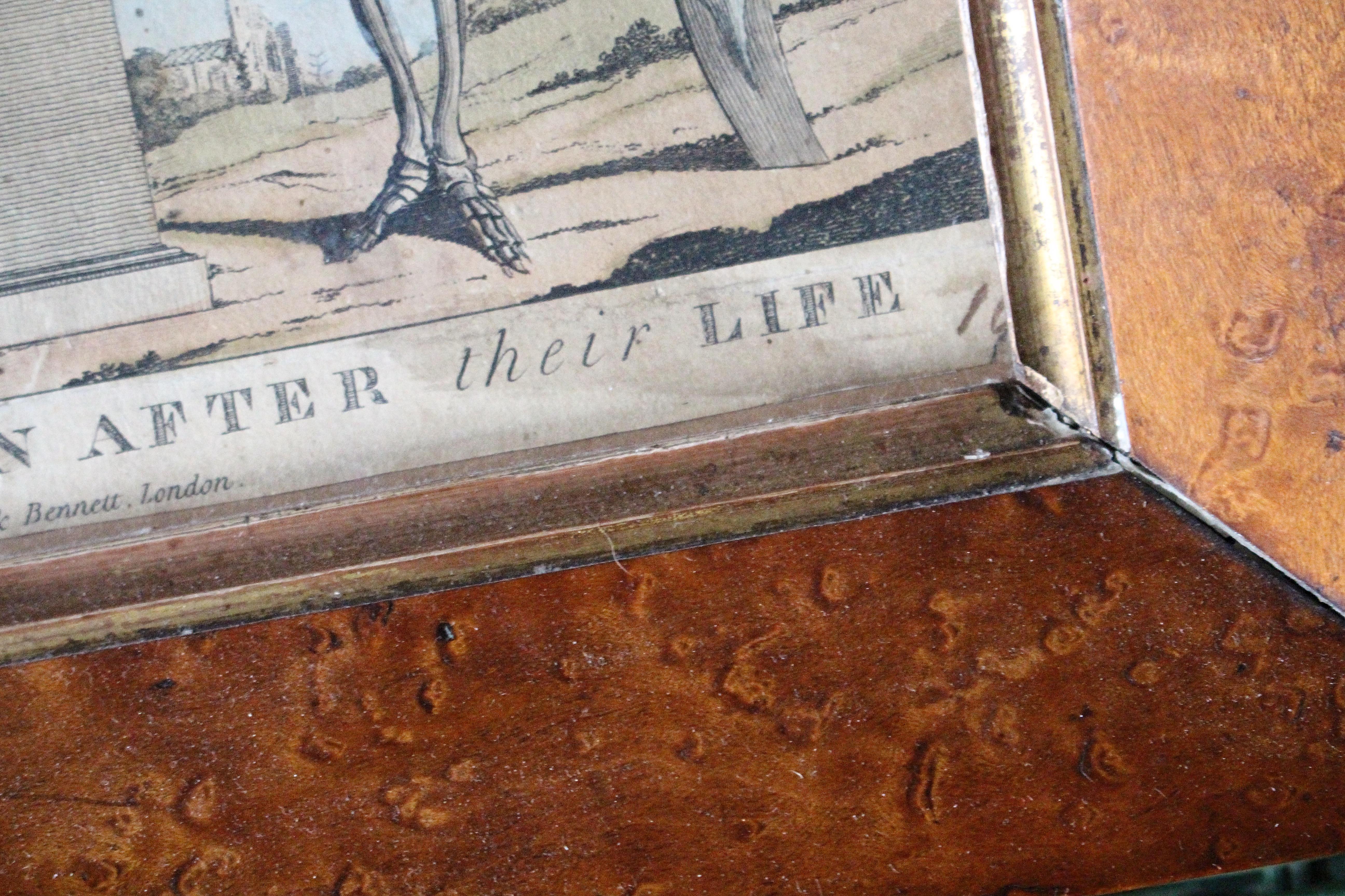 Glass Early 19th C Hand Coloured Satire Etching Macaronies Drawn After the Life Curio For Sale