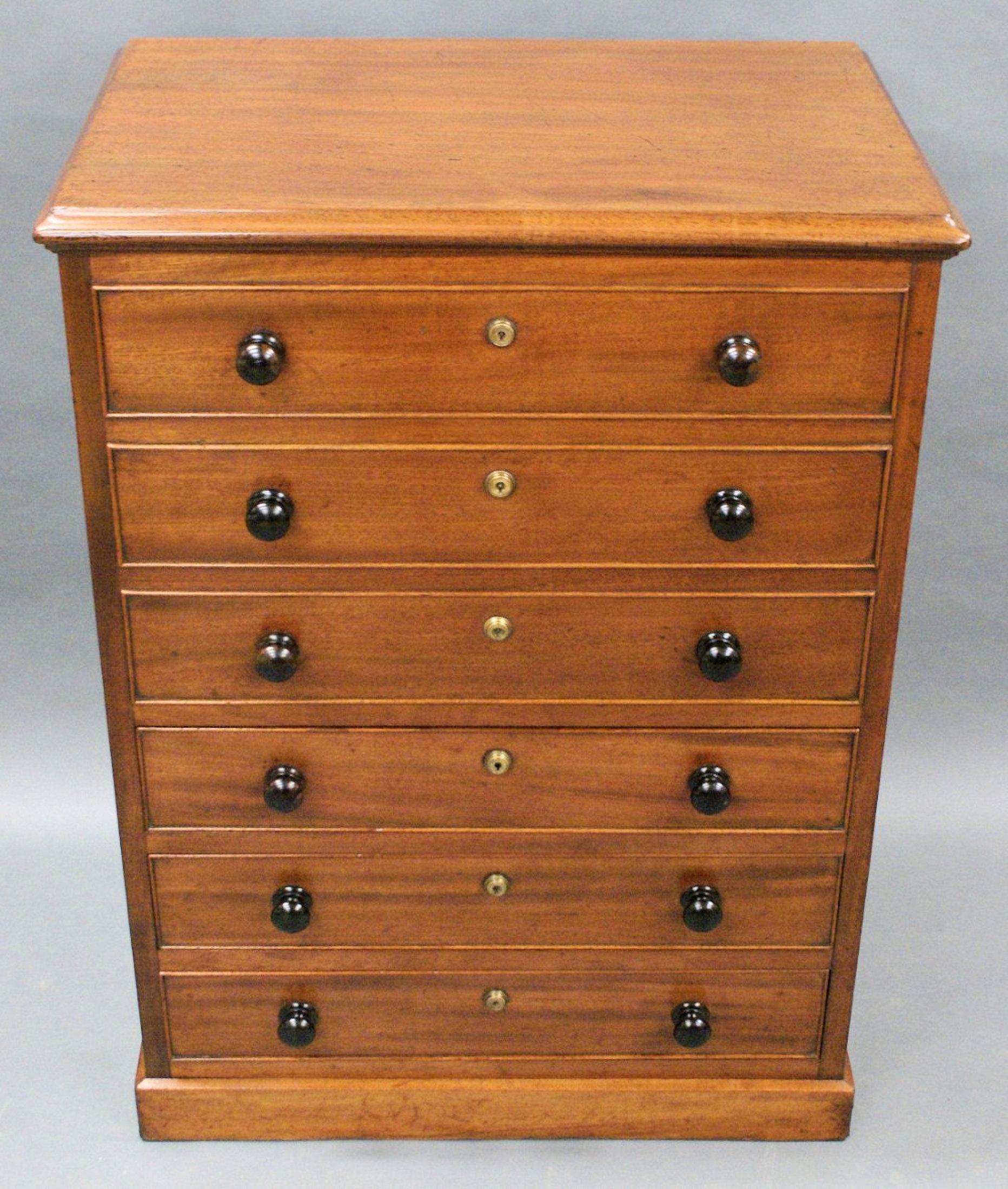 George III Early 19th C. Mahogany Chest of Drawers Storage Chest For Sale