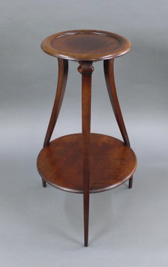 Early 19th Century Mahogany Two Tier Pedestal Stand