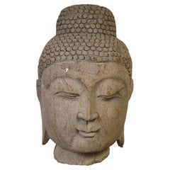Antike chinesische geschnitzte Buddha-Kopfstatue aus Stein aus dem frühen 19. Jahrhundert