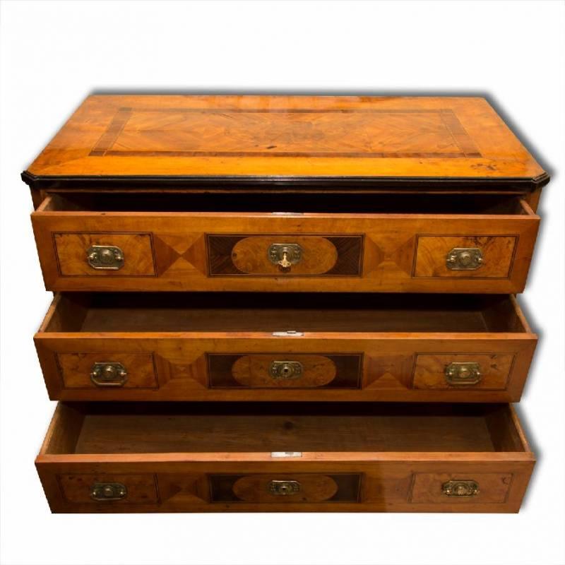 Early 19th Century Antique Classicist Chest of Drawers, circa 1800 1