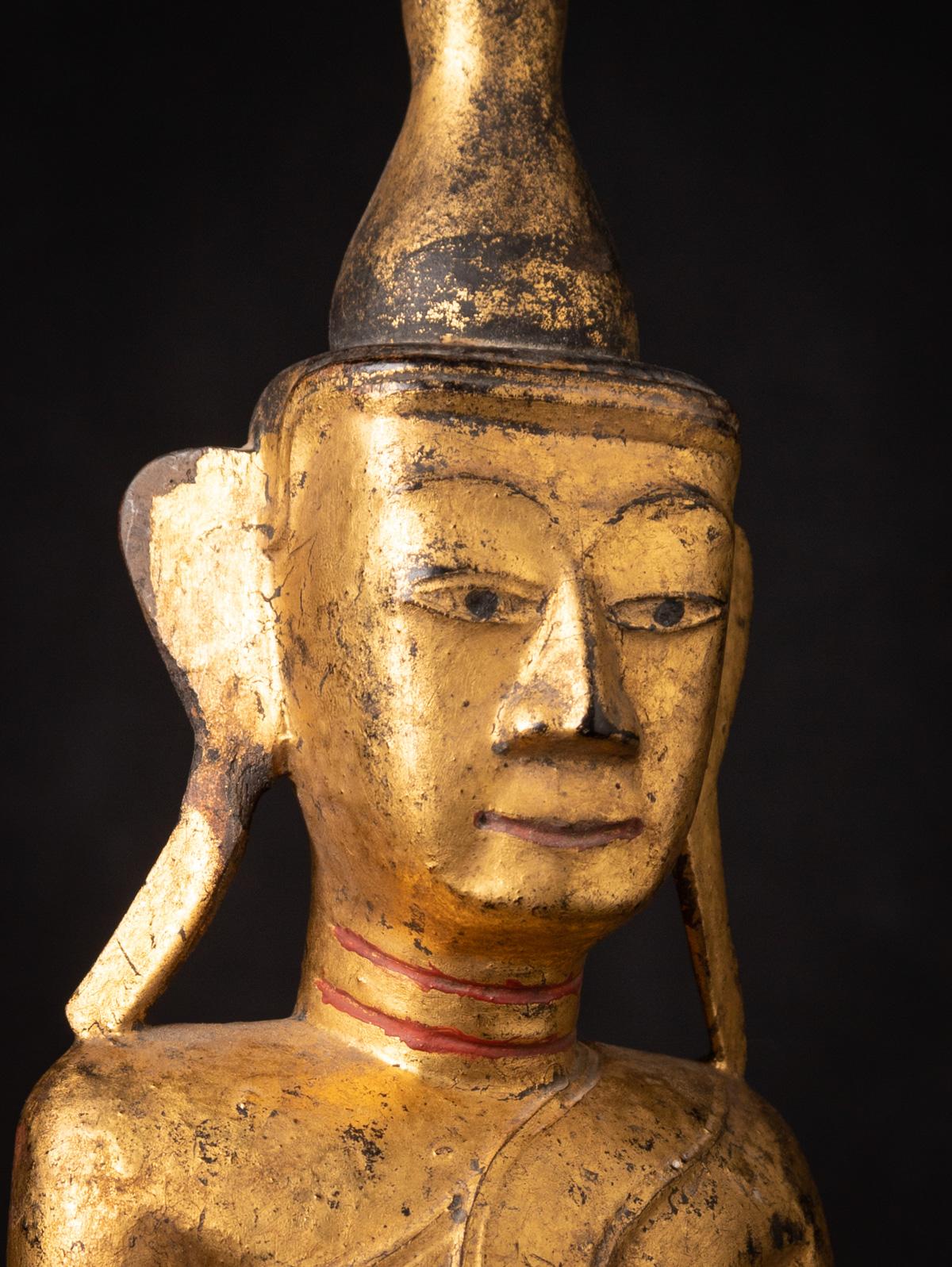 Cette statue antique de Bouddha Shan en bois de Birmanie (Myanmar) est un magnifique artefact du début du XIXe siècle. Fabriqué à la main en bois massif et doré à l'or fin 24 carats, il mesure 52,5 cm de haut, 24,5 cm de large et 16 cm de