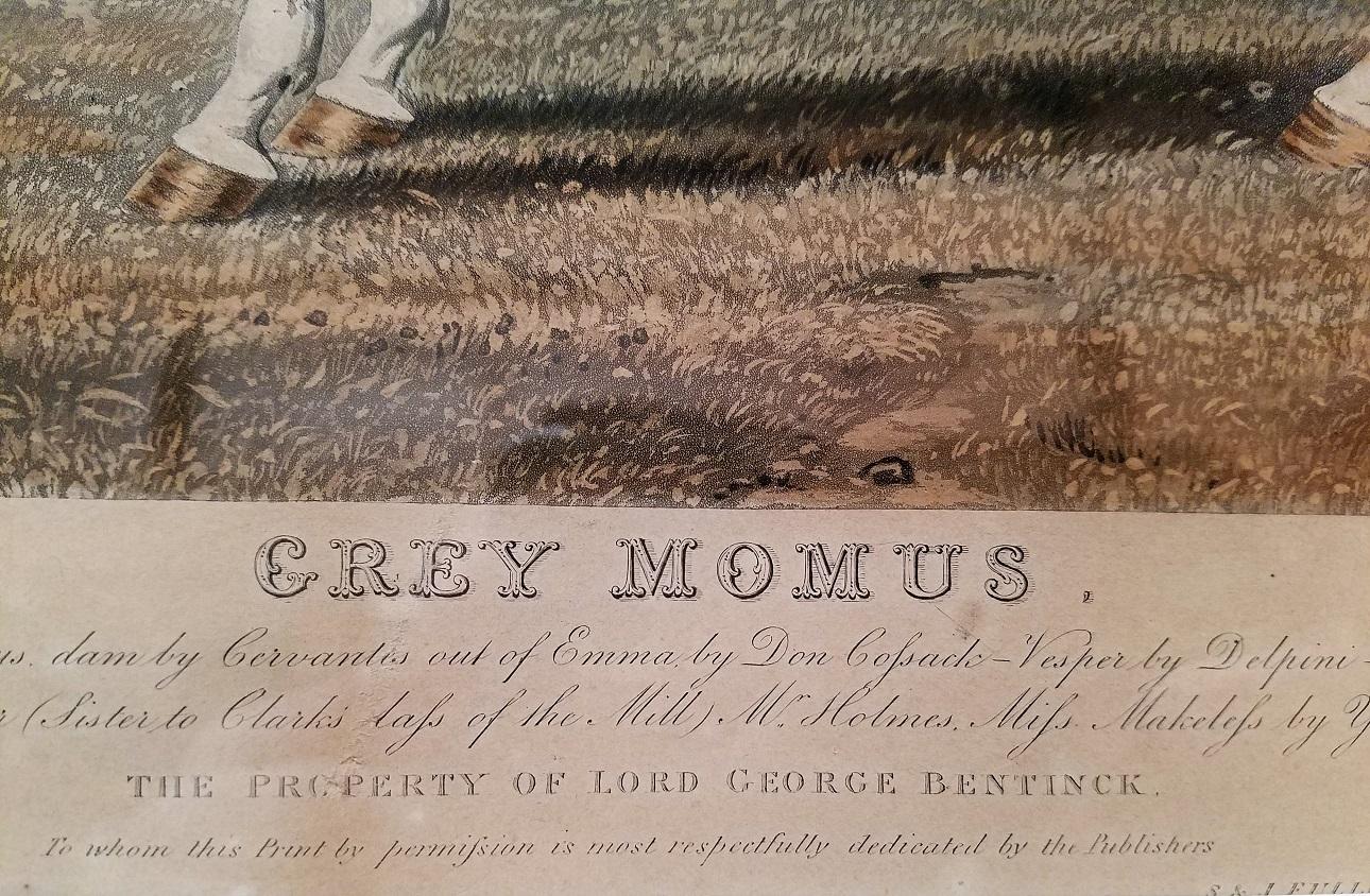 Hand-Painted Early 19th Century Aquatint Engraving of Grey Momus, John Frederick Herring Snr. For Sale