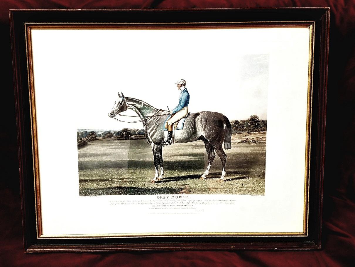 Presenting afabulous and very rare, mid-19th century engraving  after a painting by John Frederick Herring Snr, engraved by Charles Hunt, circa 1839-1840.

This aquatint engraving is of “Grey Momus” , shown with his rider/jockey, John Barham Day