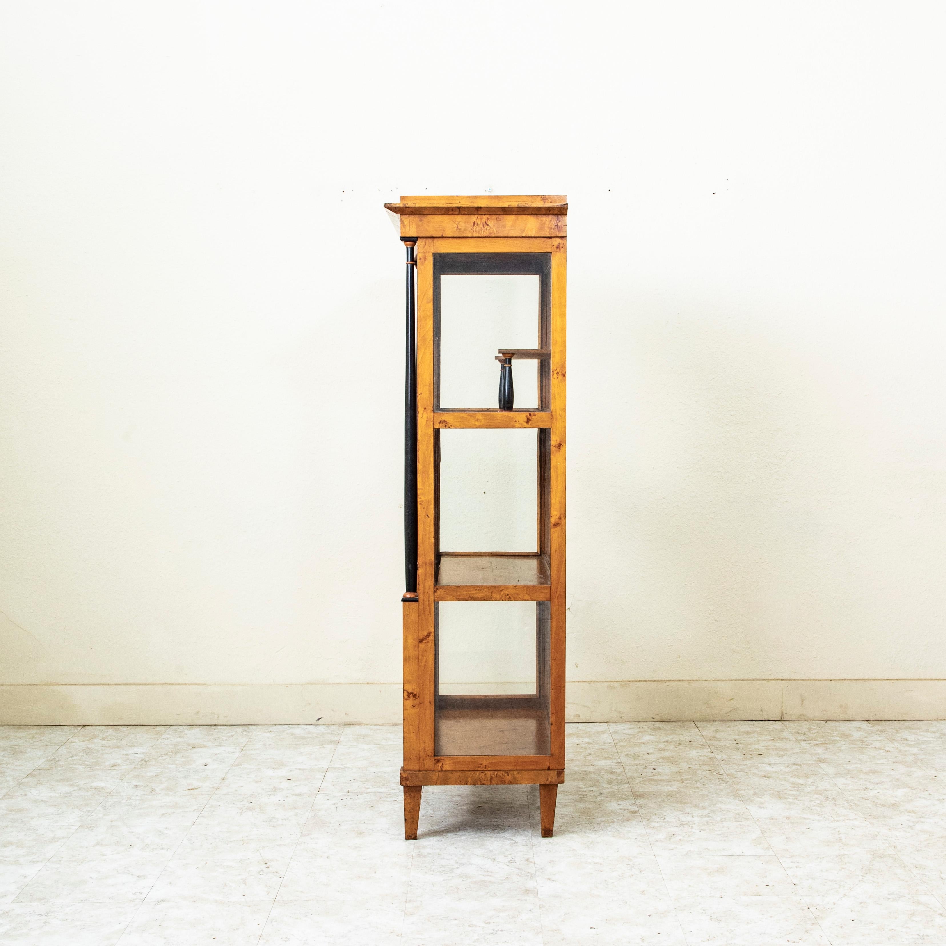 Early 19th Century Austrian Biedermeier Period Burl Birch Vitrine, Blown Glass (Ebonisiert) im Angebot