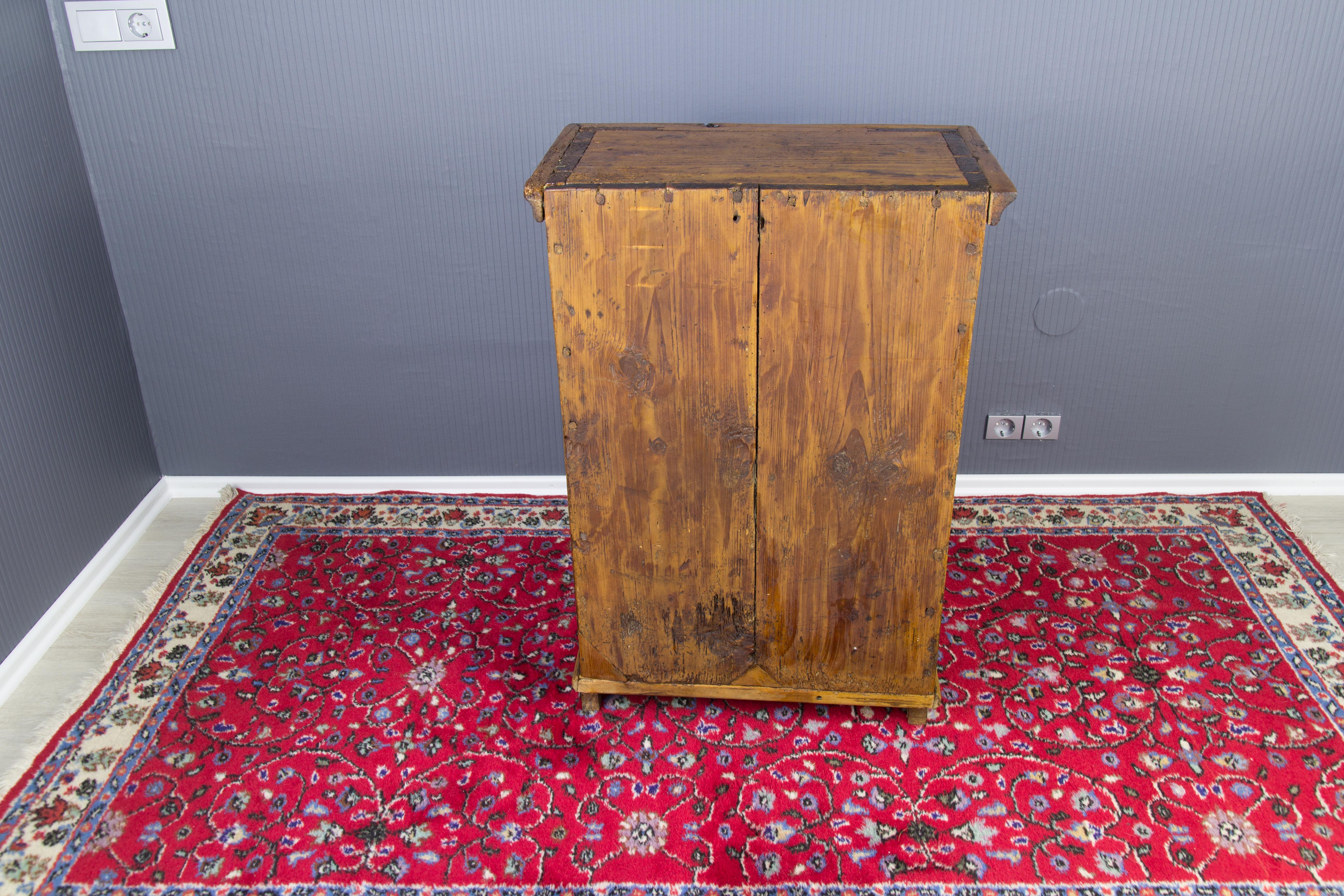 Early 19th Century Baltic Pine Cabinet 3