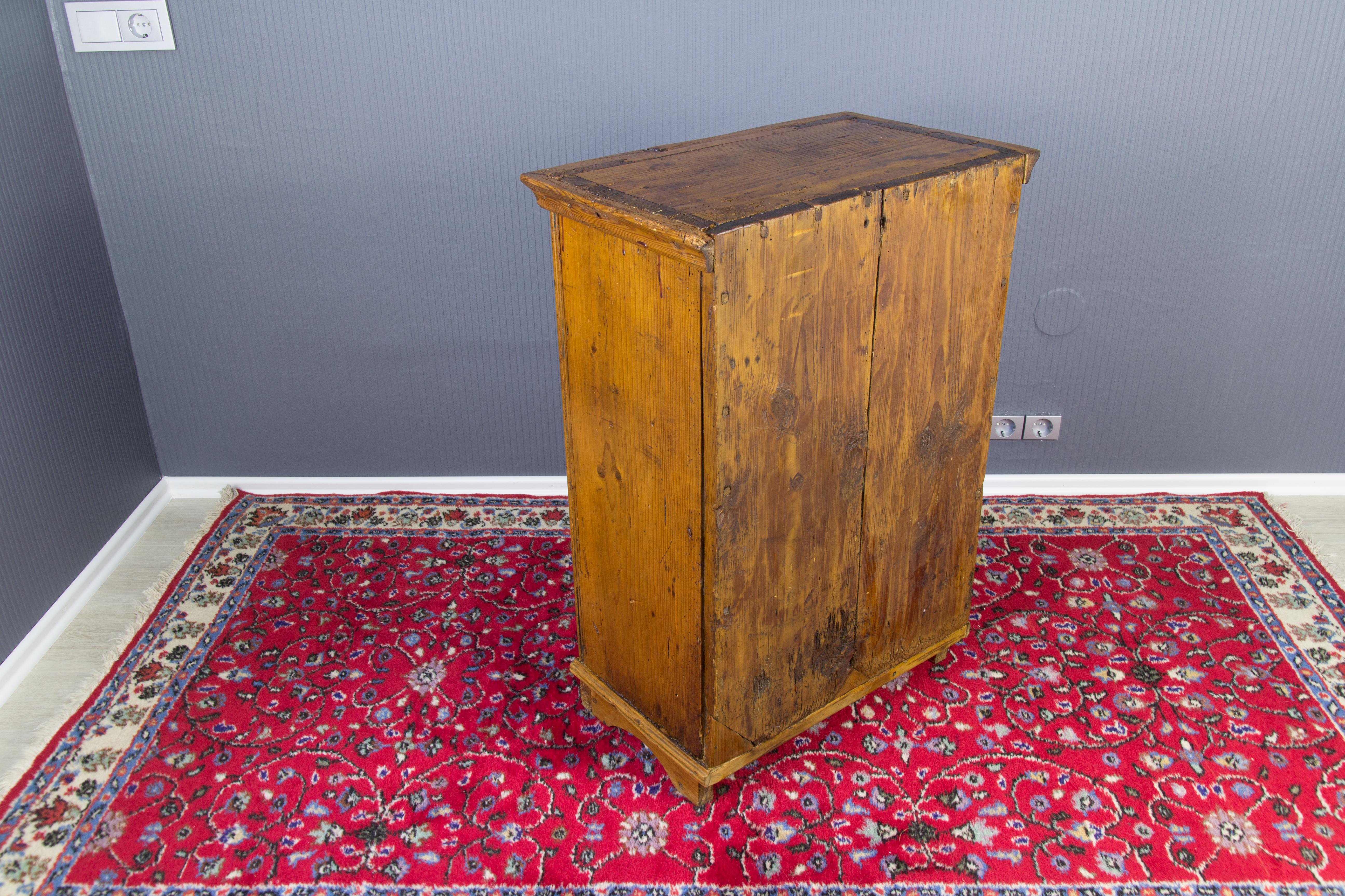Early 19th Century Baltic Pine Cabinet 4