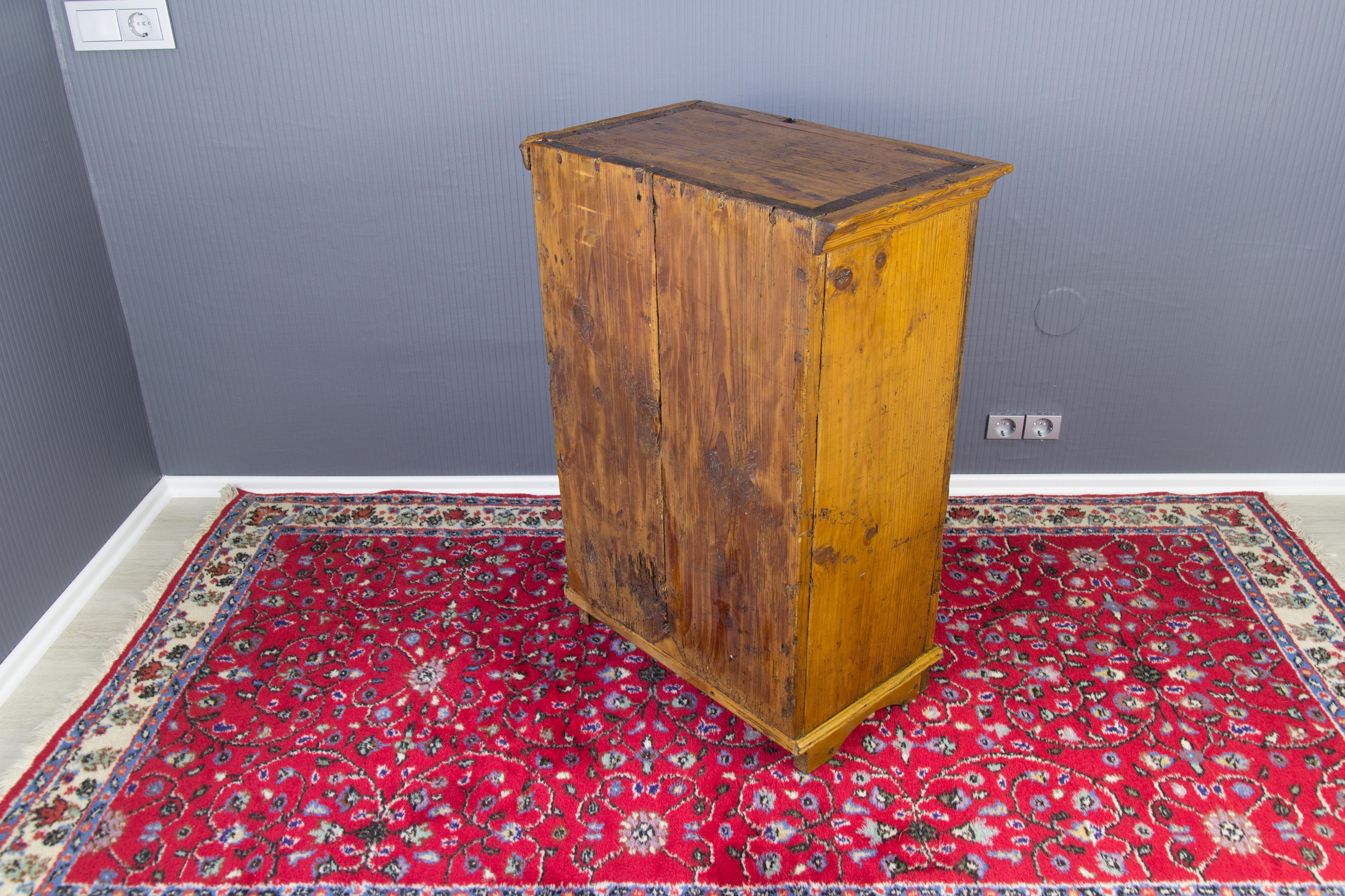 Early 19th Century Baltic Pine Cabinet 2