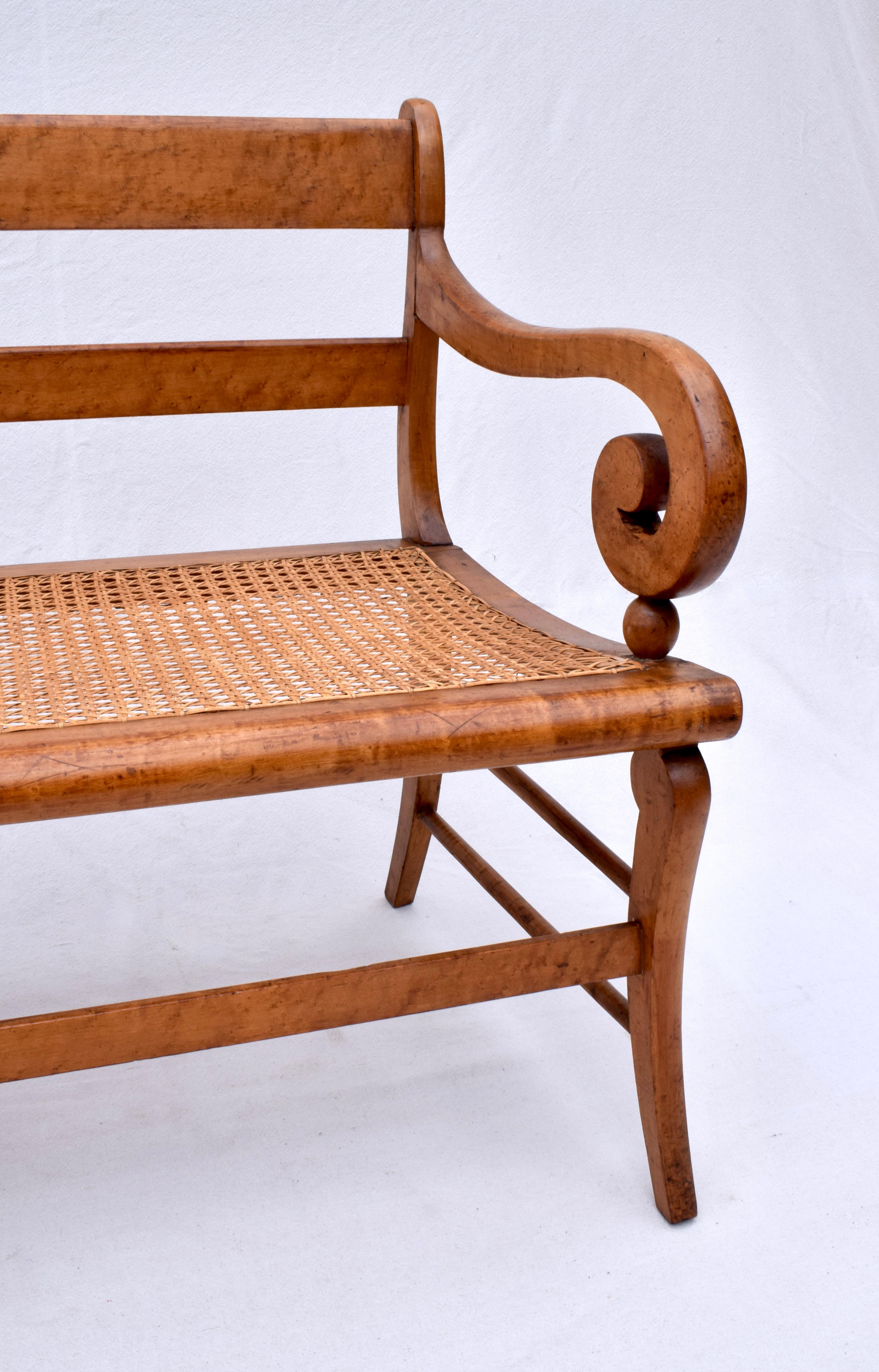 Early 19th Century Bird’S-Eye Maple Sabre Leg Caned Bench For Sale 8