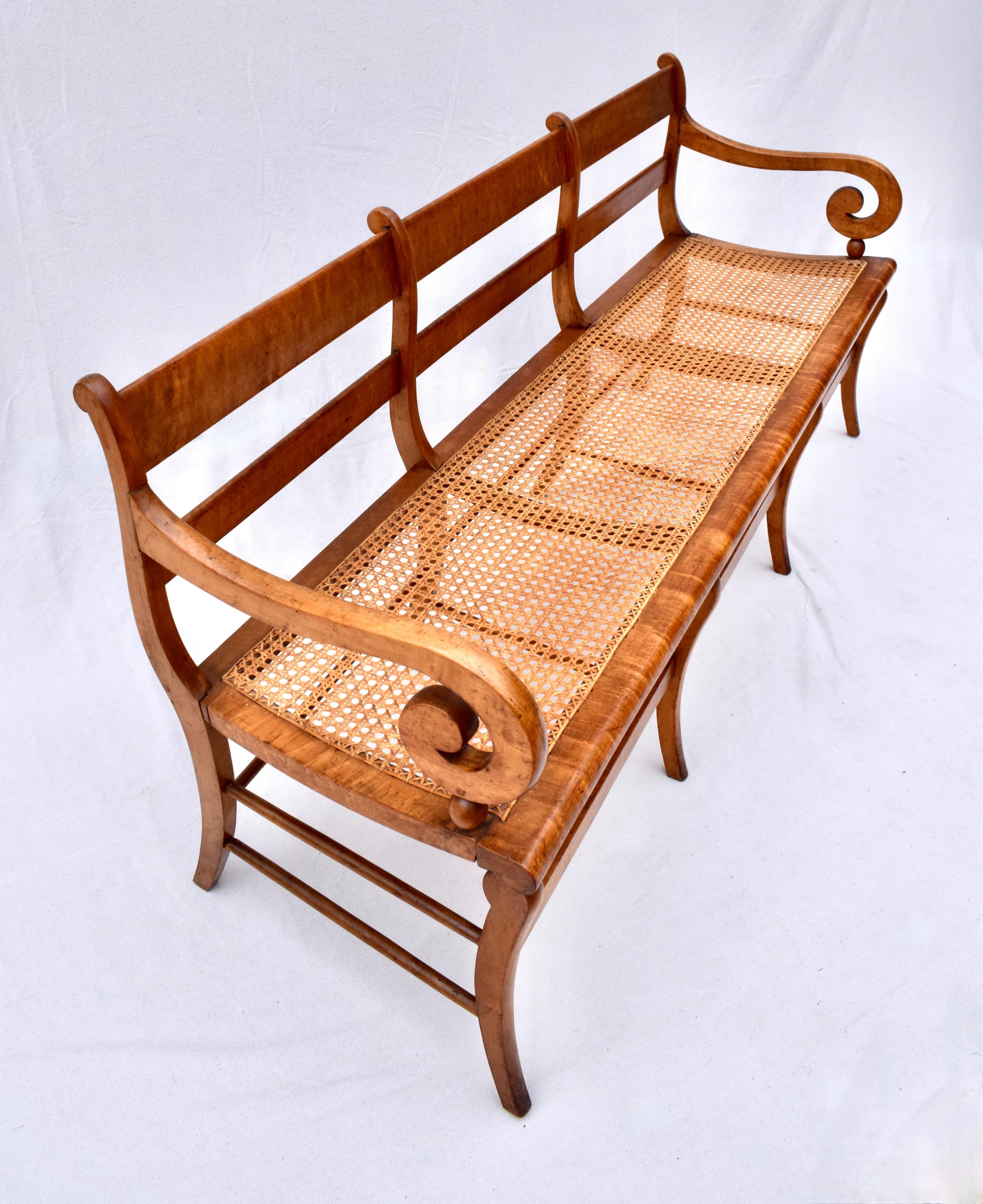 Regency Early 19th Century Bird’S-Eye Maple Sabre Leg Caned Bench For Sale