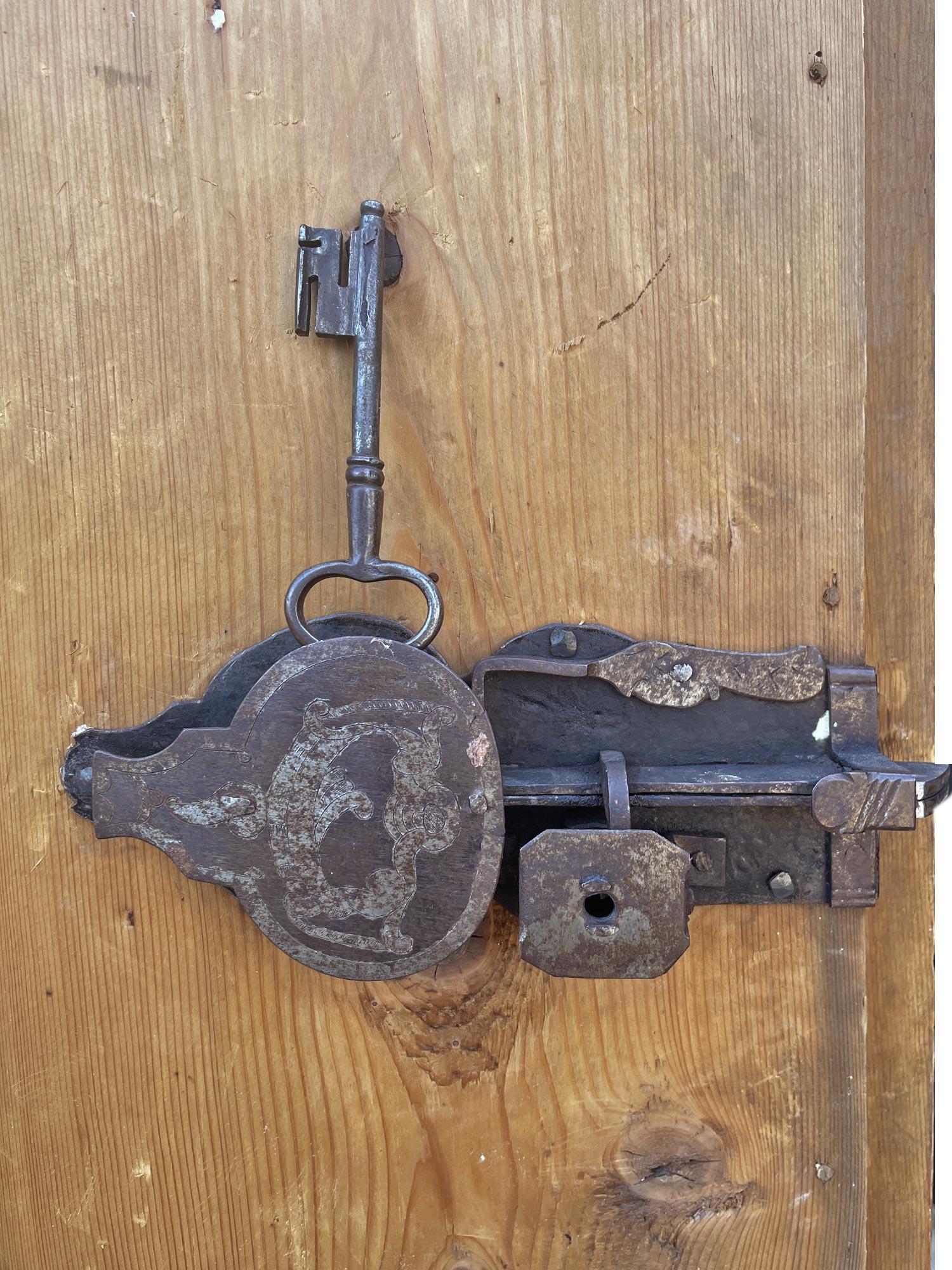 Armario pintado con flores azules de principios del siglo XIX - Alpes europeos en venta 6