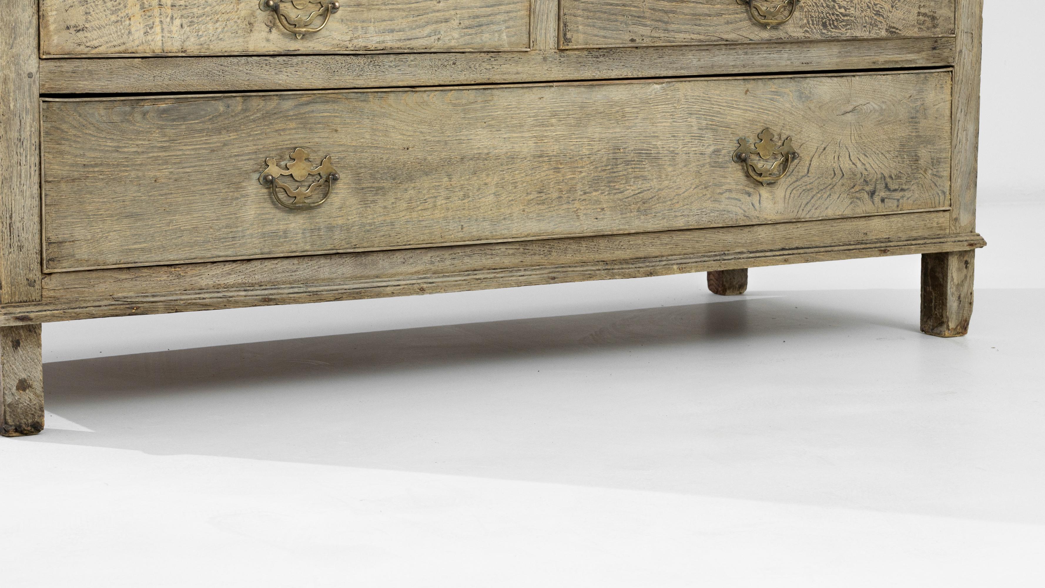 Early 19th Century British Bleached Oak Cabinet 4