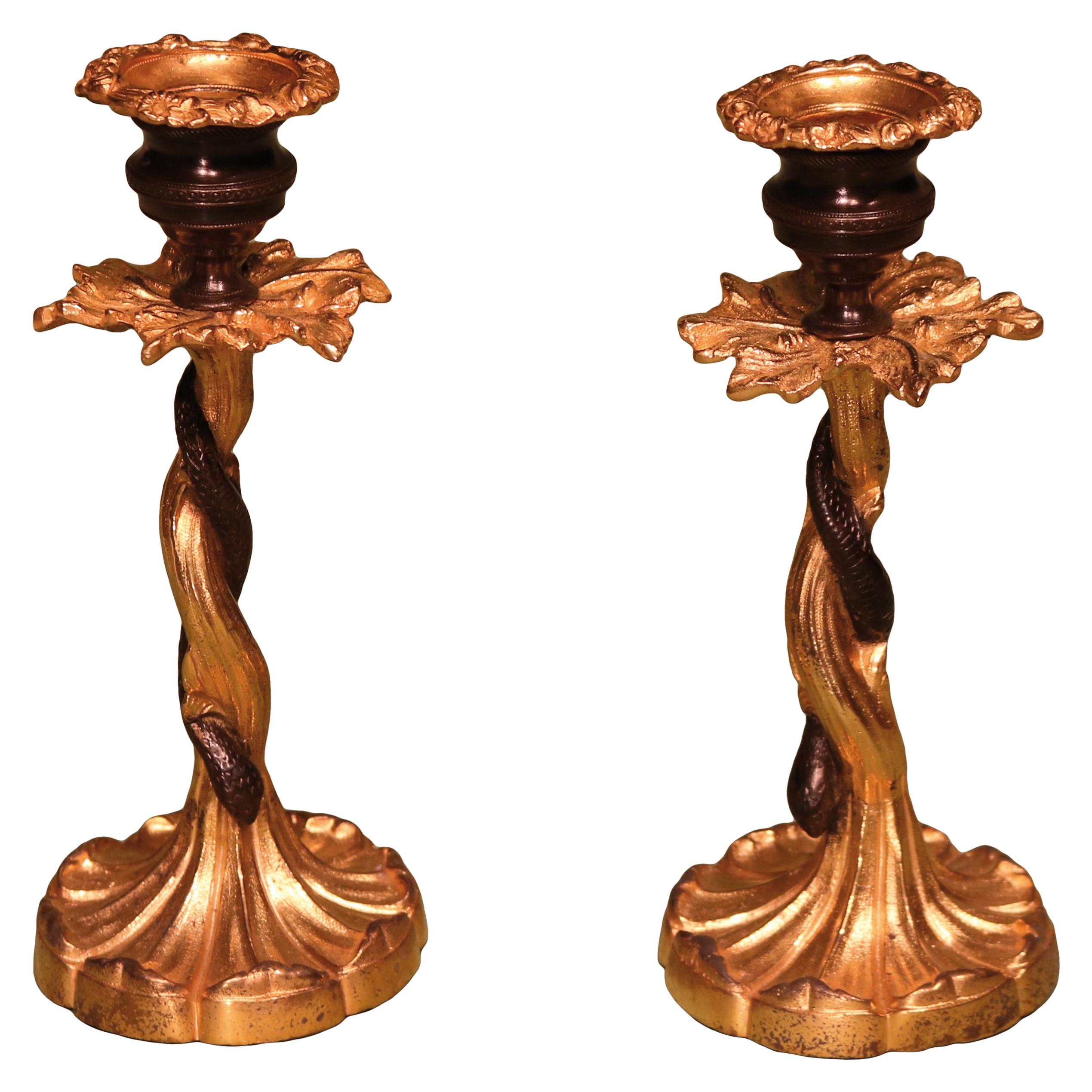 Early 19th Century Bronze & Ormolu Candlesticks with Entwined Snakes