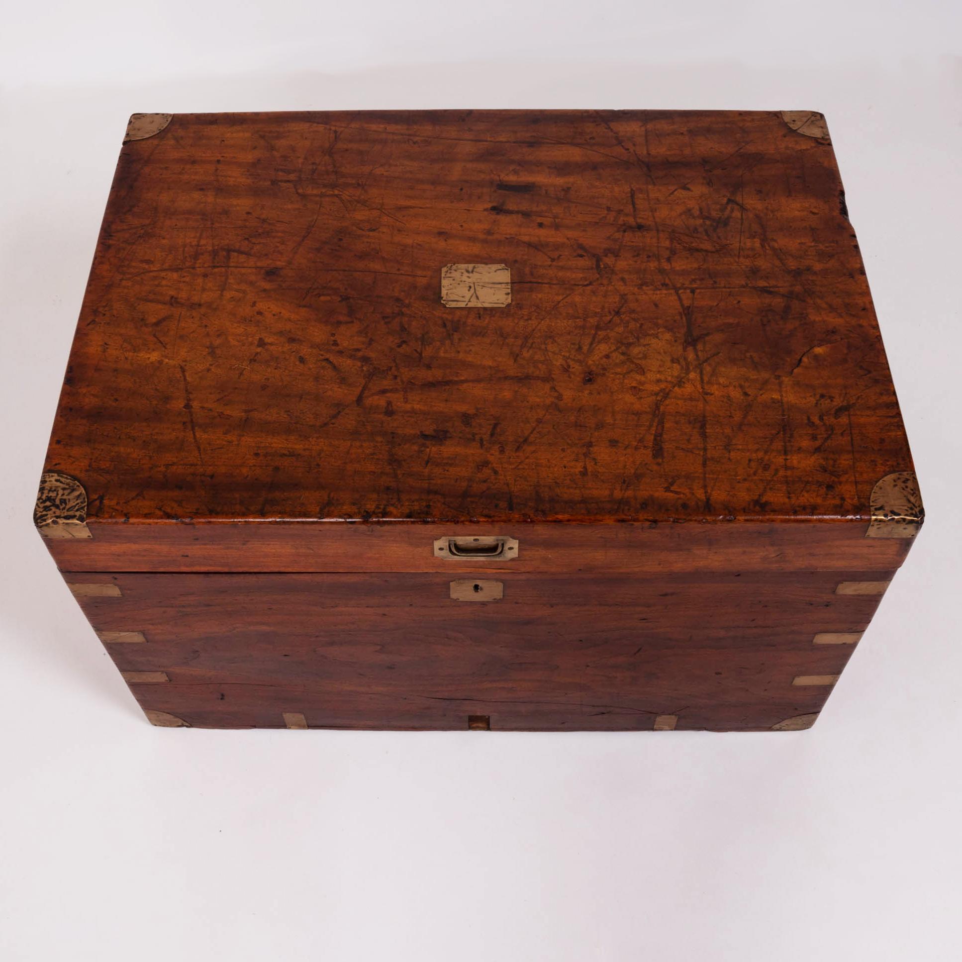 Late 19th Century Camphor Wooden Storage Chest, Hong Kong 1