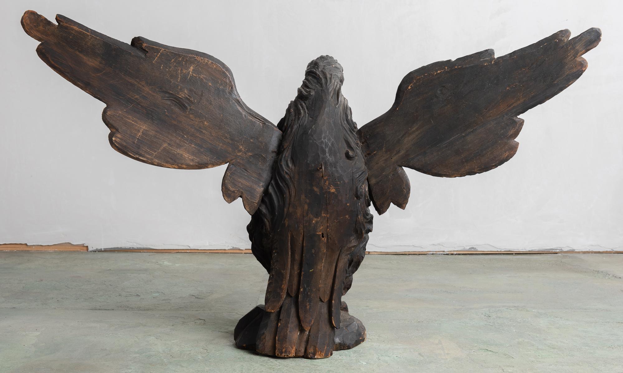 Early 19th Century Carved Wooden Eagles 3