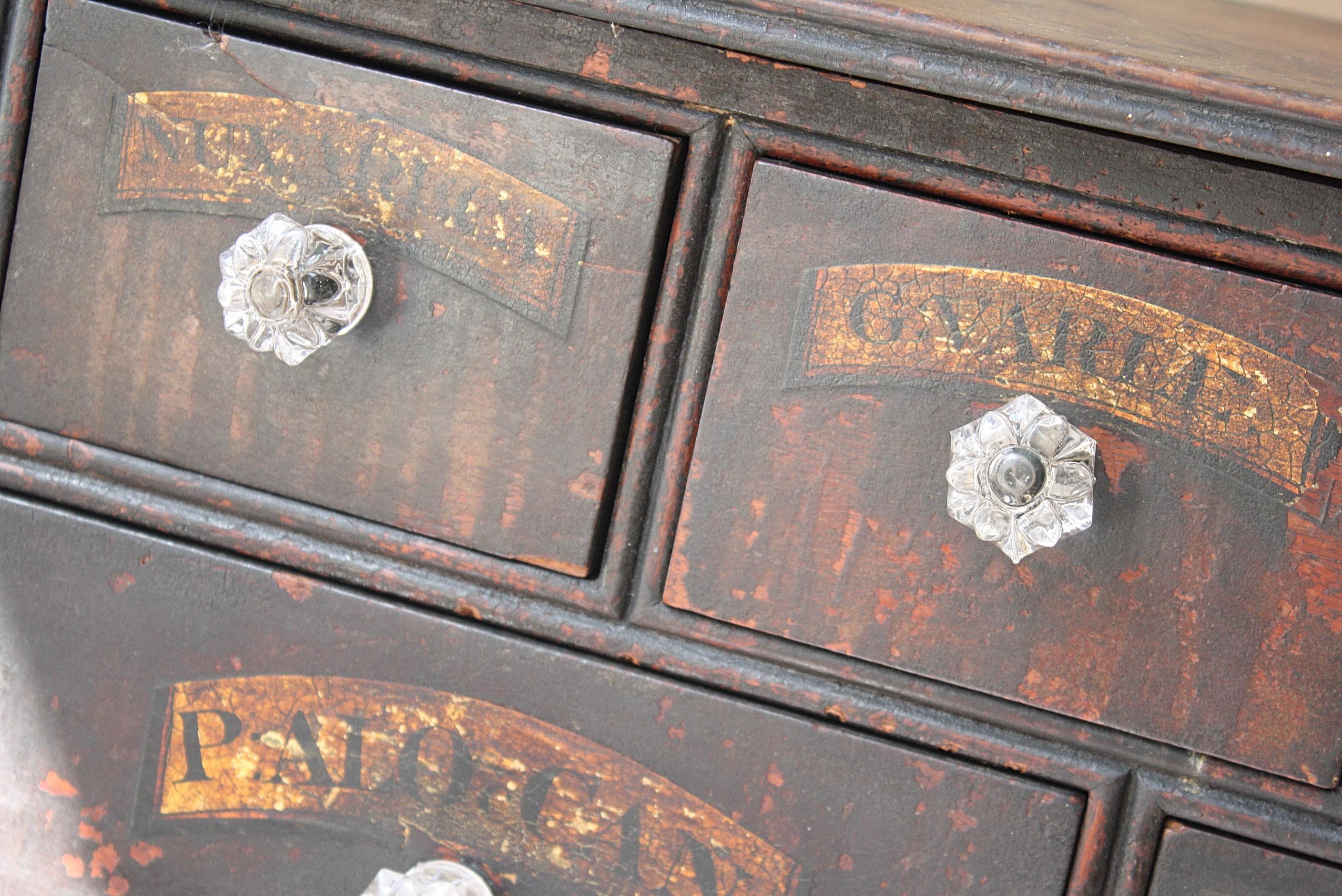 Early 19th Century Chemist Apothecary Drug Pharmacy Drawers Bratley Pontefract For Sale 10