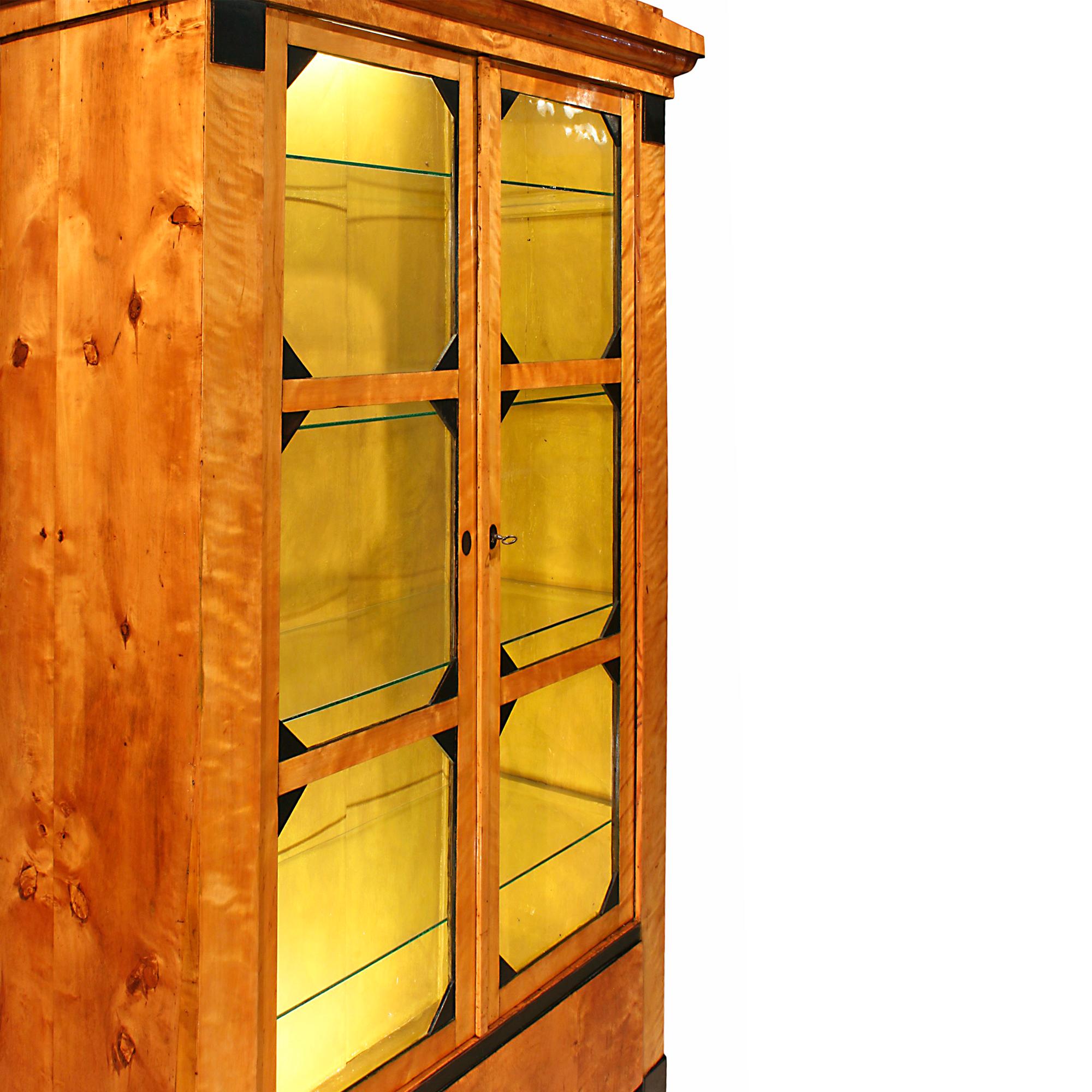 Early 19th Century Cherry and Ebony Biedermeier Vitrine In Good Condition For Sale In West Palm Beach, FL