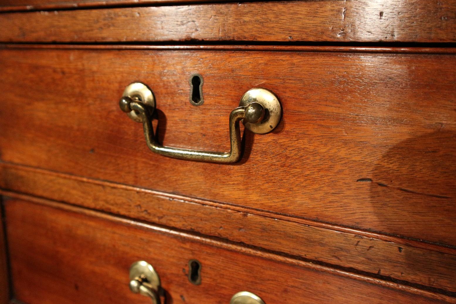 Mahogany Early 19th Century Chest of Drawers For Sale