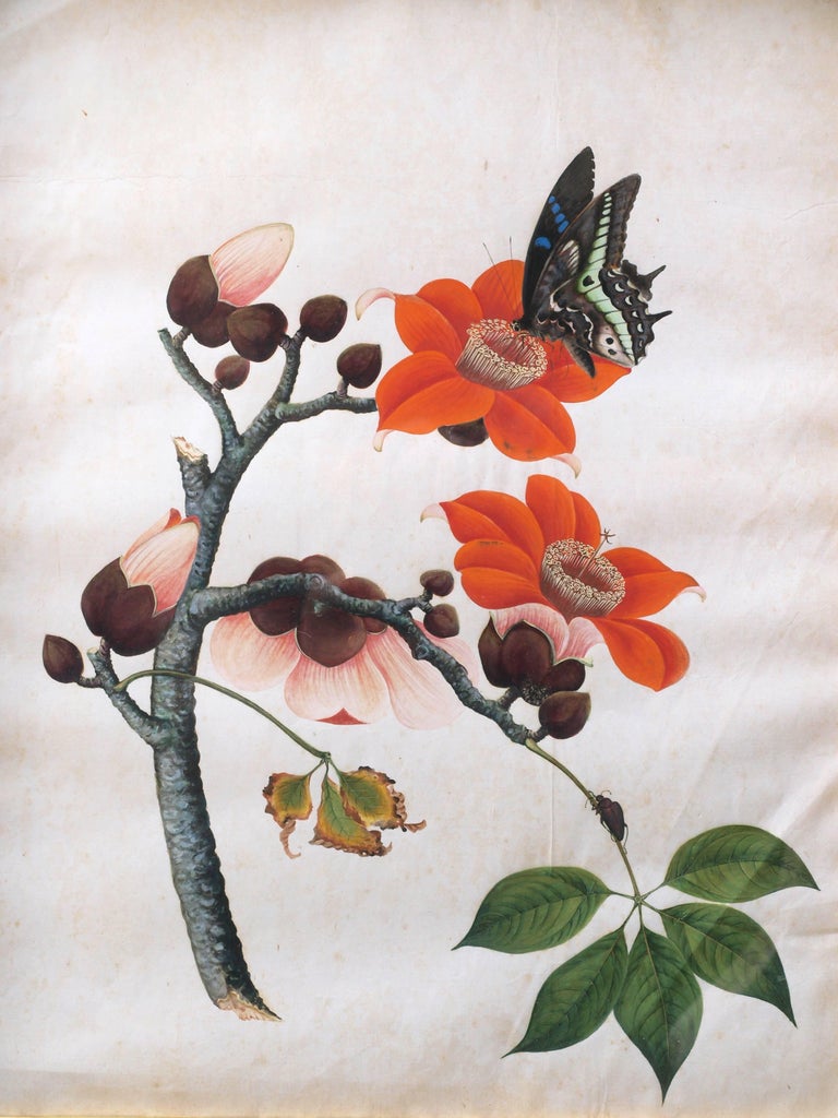 A 19th century Qing dynasty Chinese watercolor featuring a botanical scene. A broken branch suspended mid page features a striking butterfly atop a vivid reddish orange camellia flower with a small beetle crawling from the leaves below. Framed in