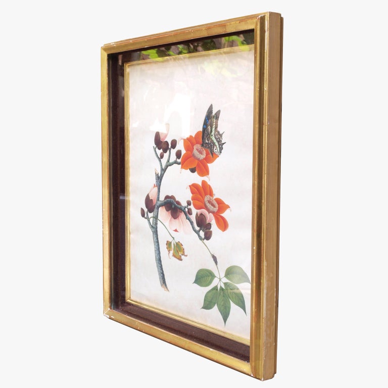 Early 19th Century Chinese Botanical Butterfly Watercolor on Pith Paper In Good Condition For Sale In London, GB