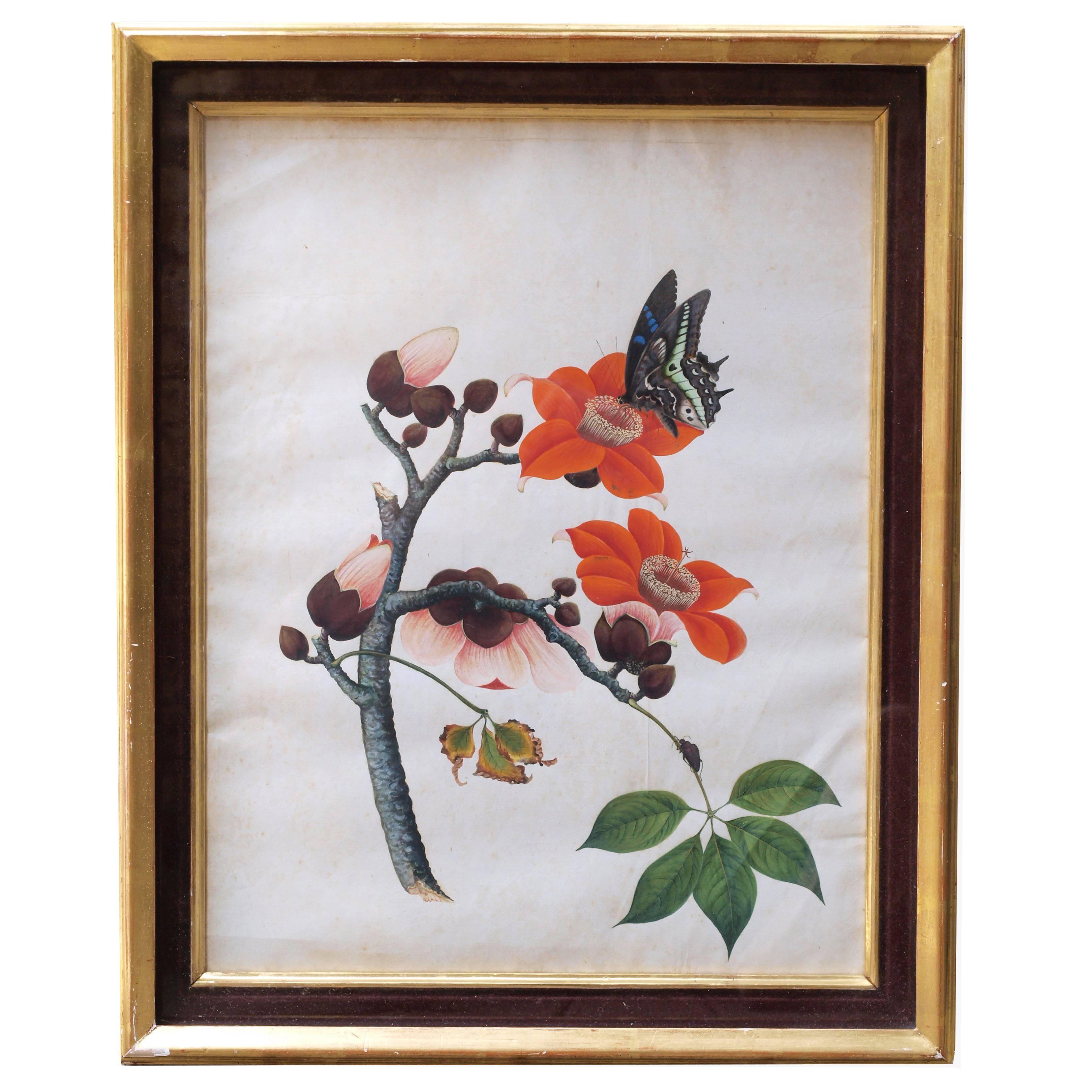 Early 19th Century Chinese Botanical Butterfly Watercolor on Pith Paper