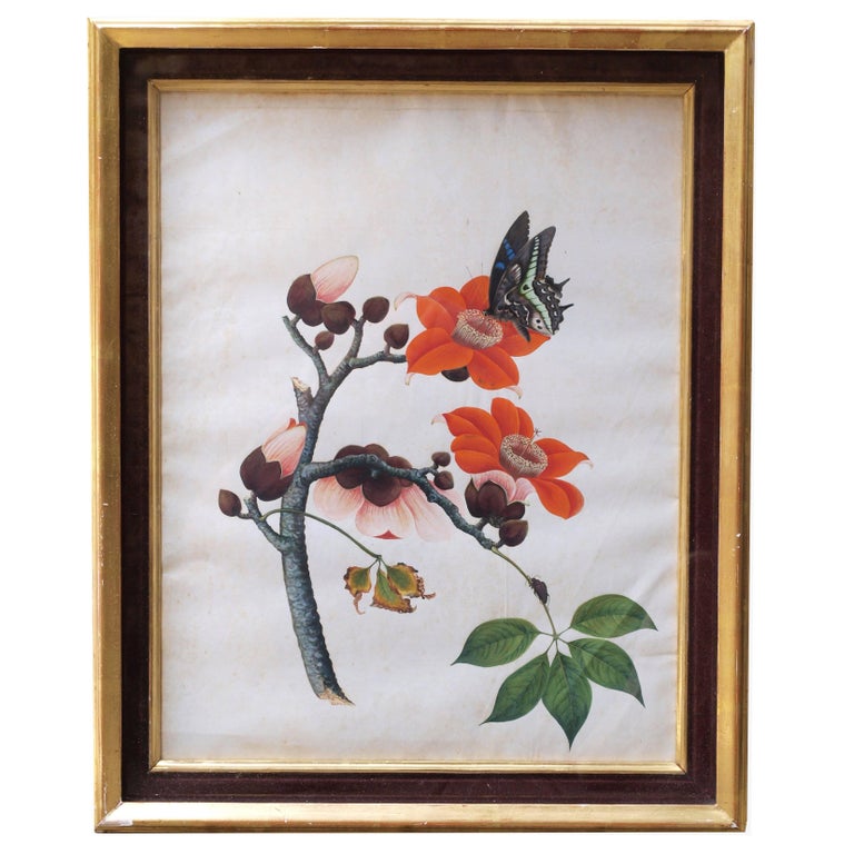 Early 19th Century Chinese Botanical Butterfly Watercolor on Pith Paper For Sale