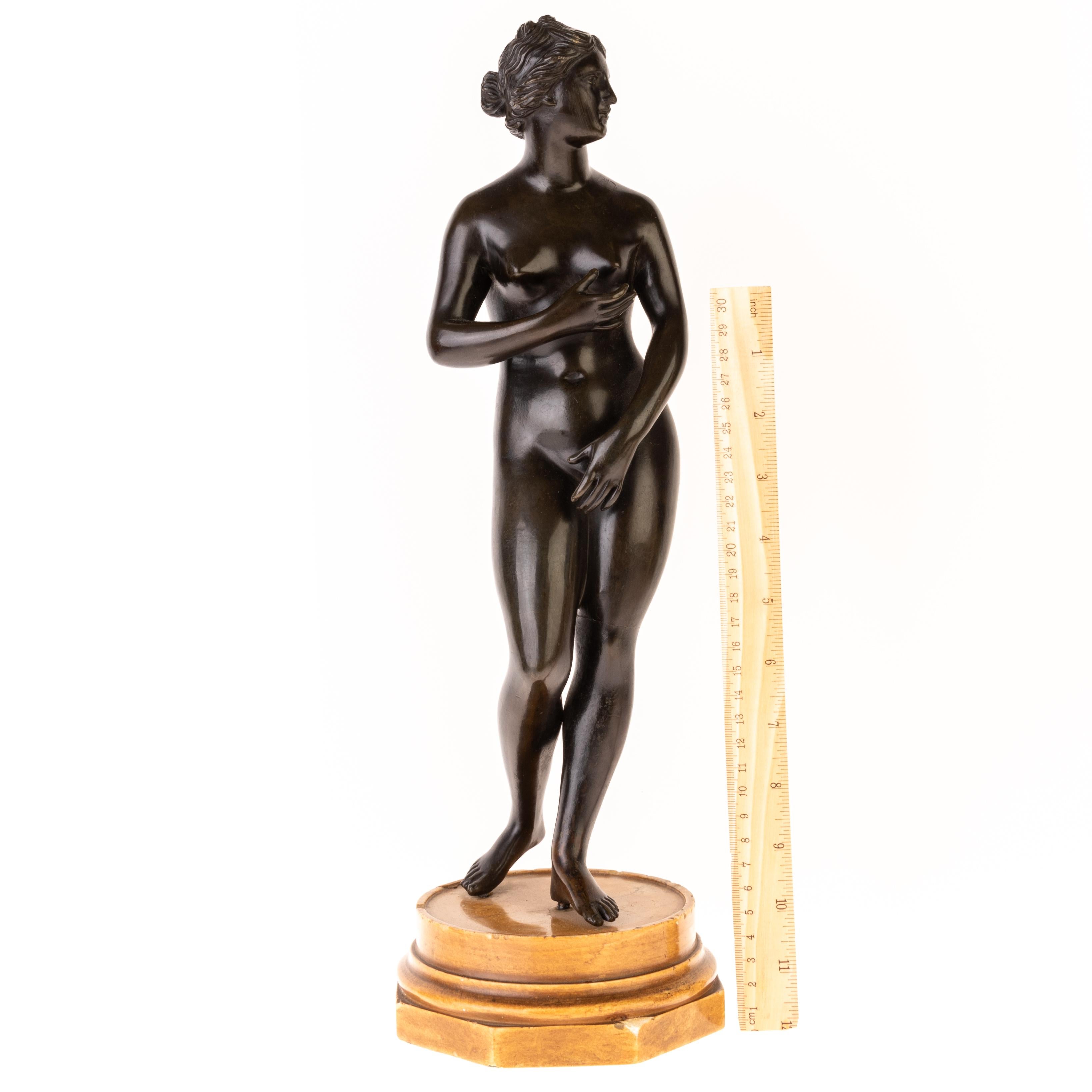 Early 19th Century Continental Grand Tour Bronze Sculpture of Venus de' Medici For Sale 12