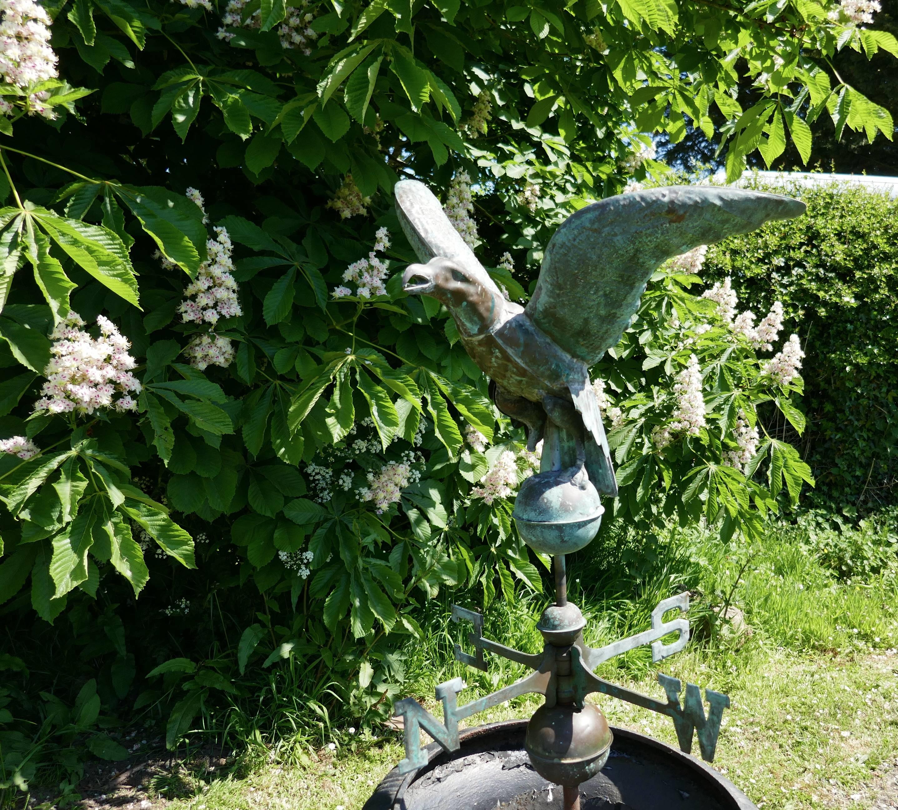 Early 19th Century Copper Eagle, Weather Vane 3