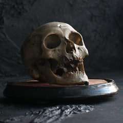 Early 19th century cut medical human skull example in an antique dome