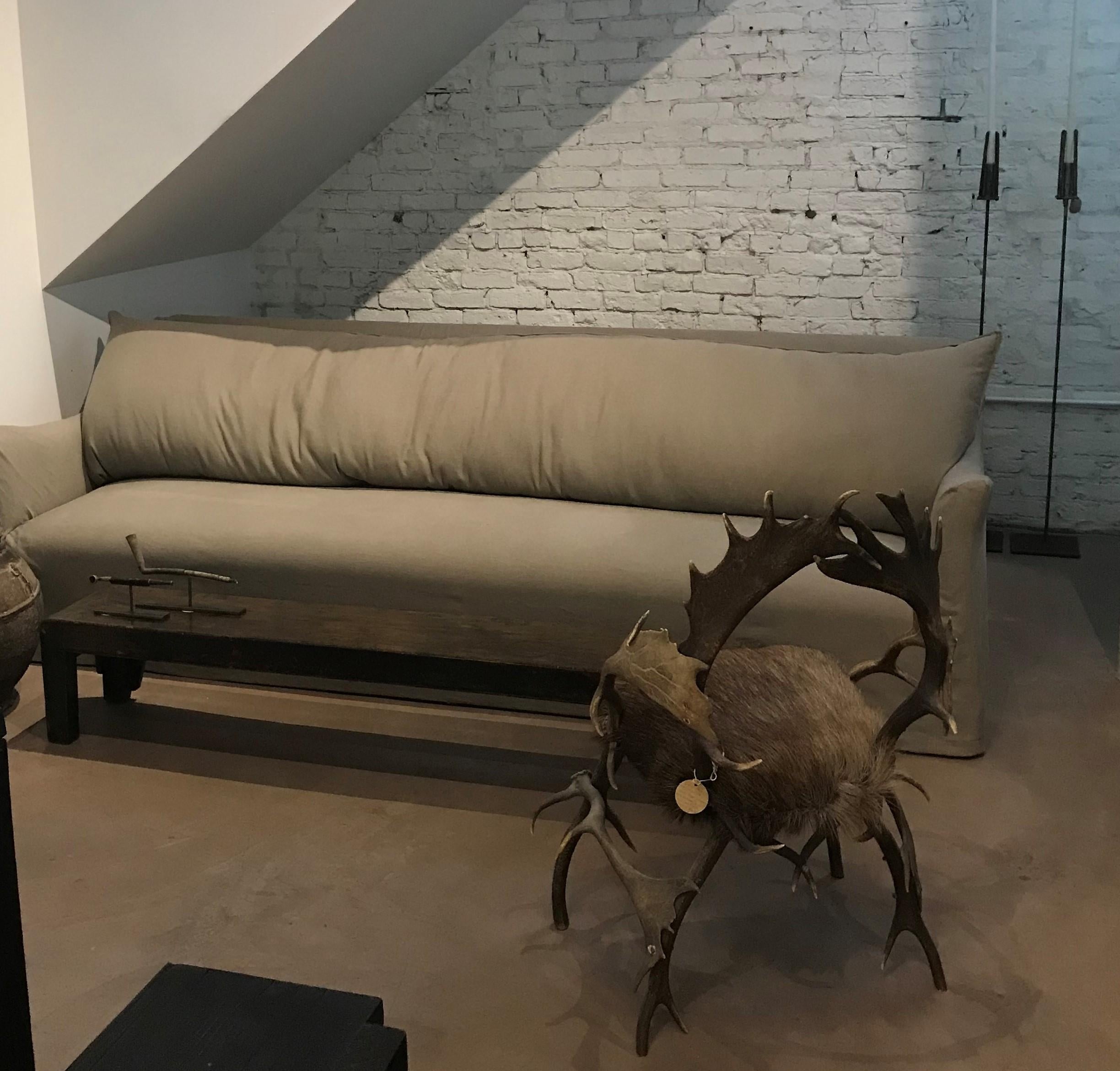 Early 19th Century Elk Antler Chair From Germany with Natural Boar Hair Seat 5