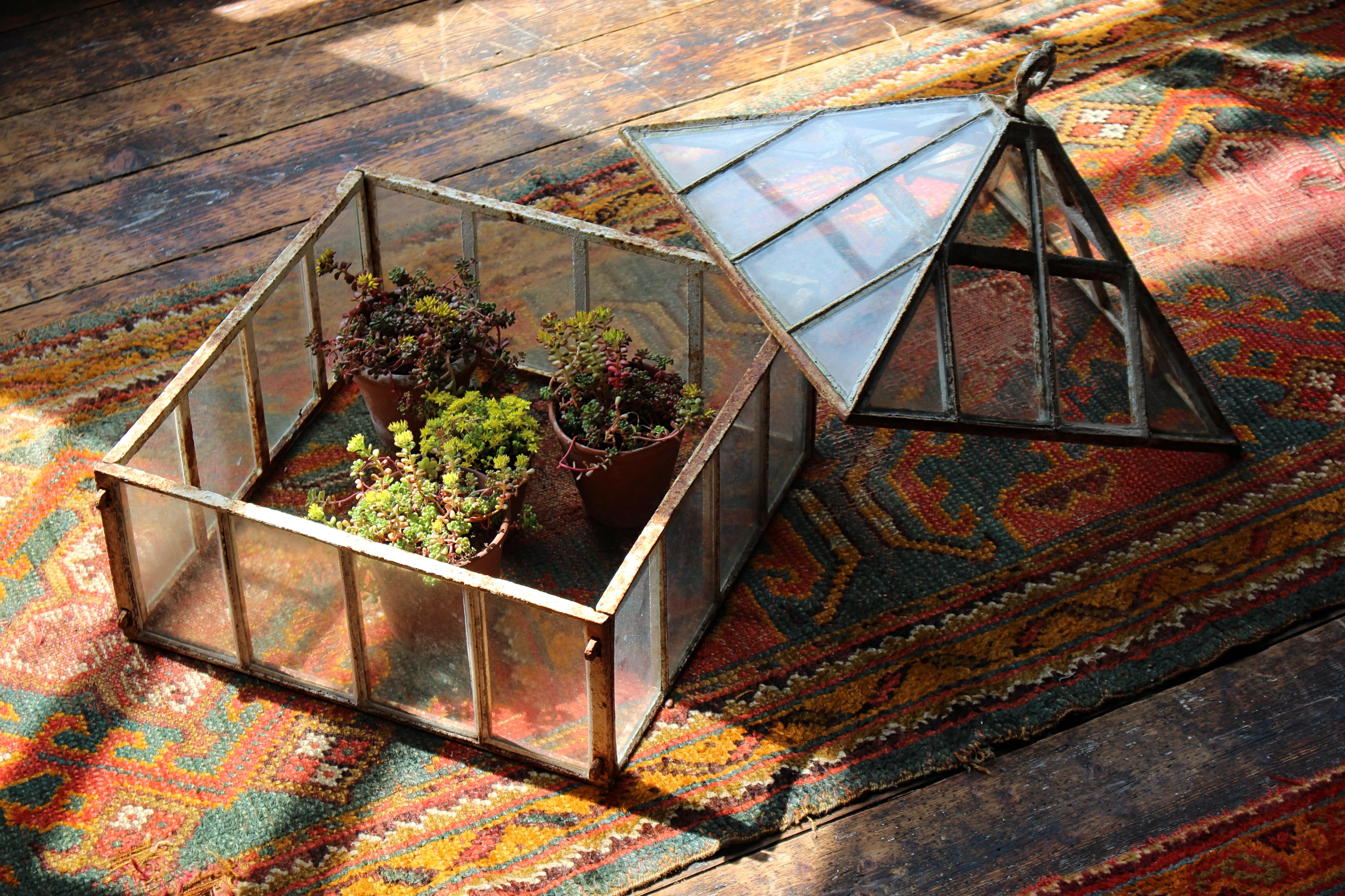 Cloche da giardino in ferro e vetro di una casa di campagna inglese dell'inizio del XIX secolo in vendita 4