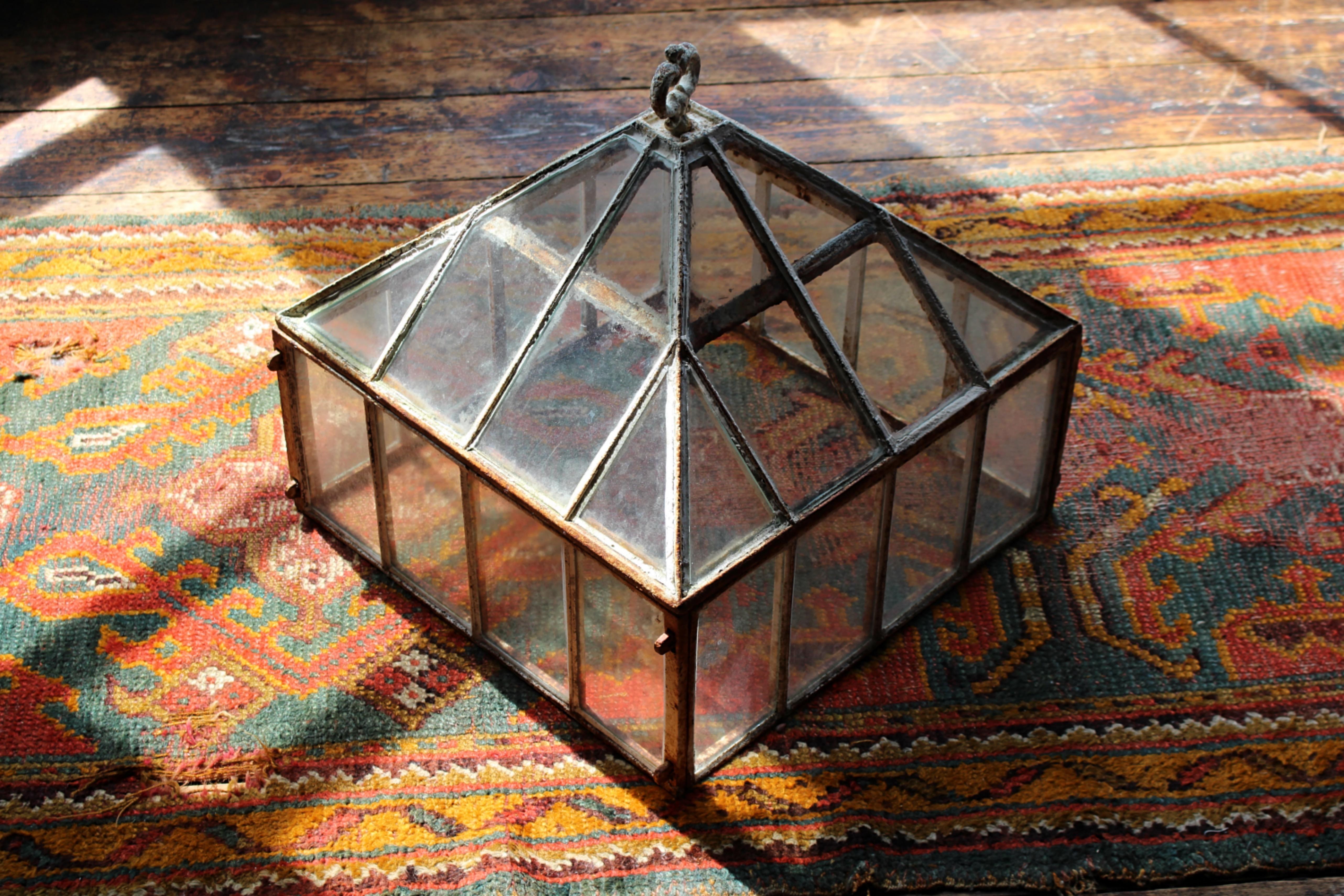 Cloche da giardino in ferro e vetro di una casa di campagna inglese dell'inizio del XIX secolo in vendita 6