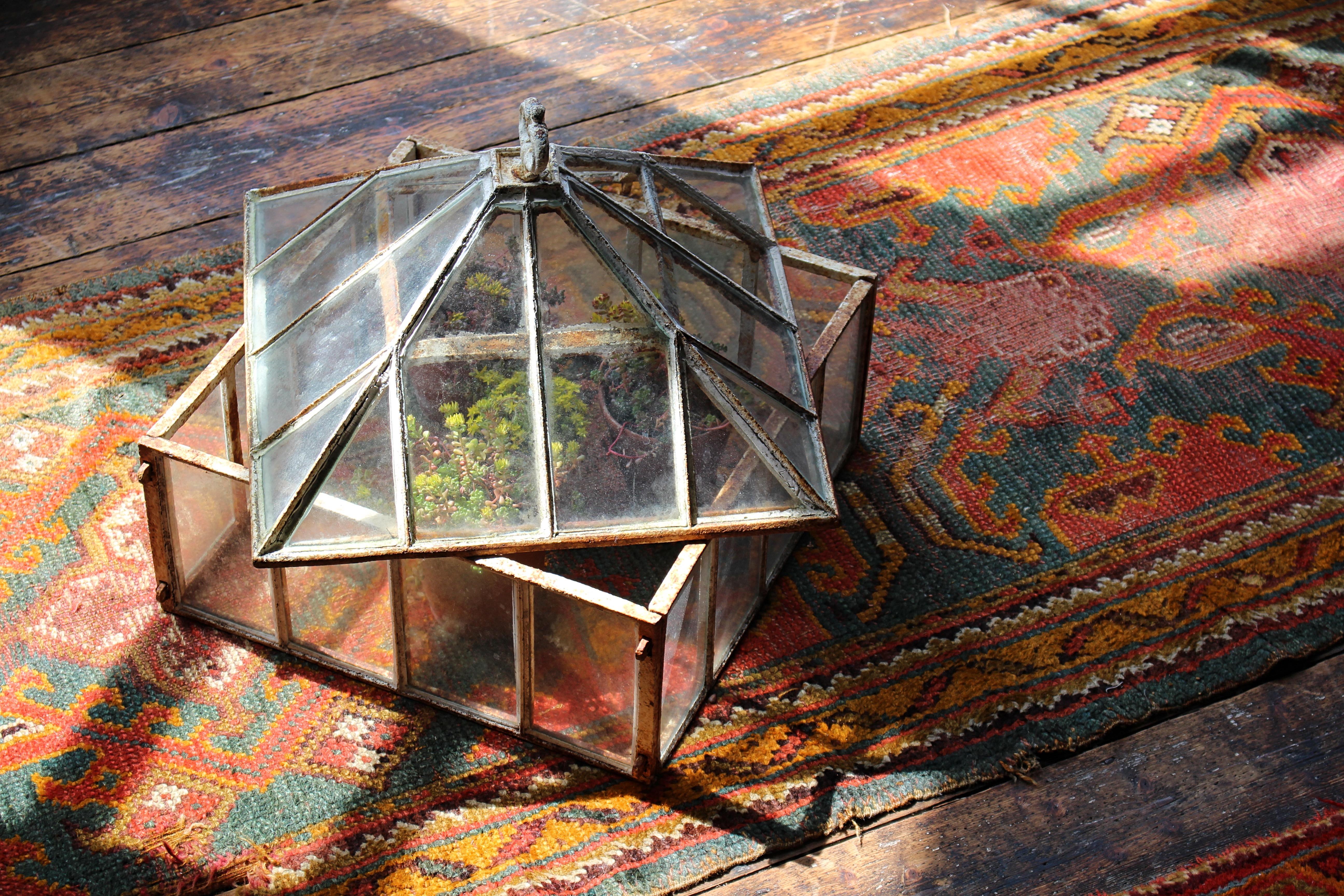 Britannico Cloche da giardino in ferro e vetro di una casa di campagna inglese dell'inizio del XIX secolo in vendita