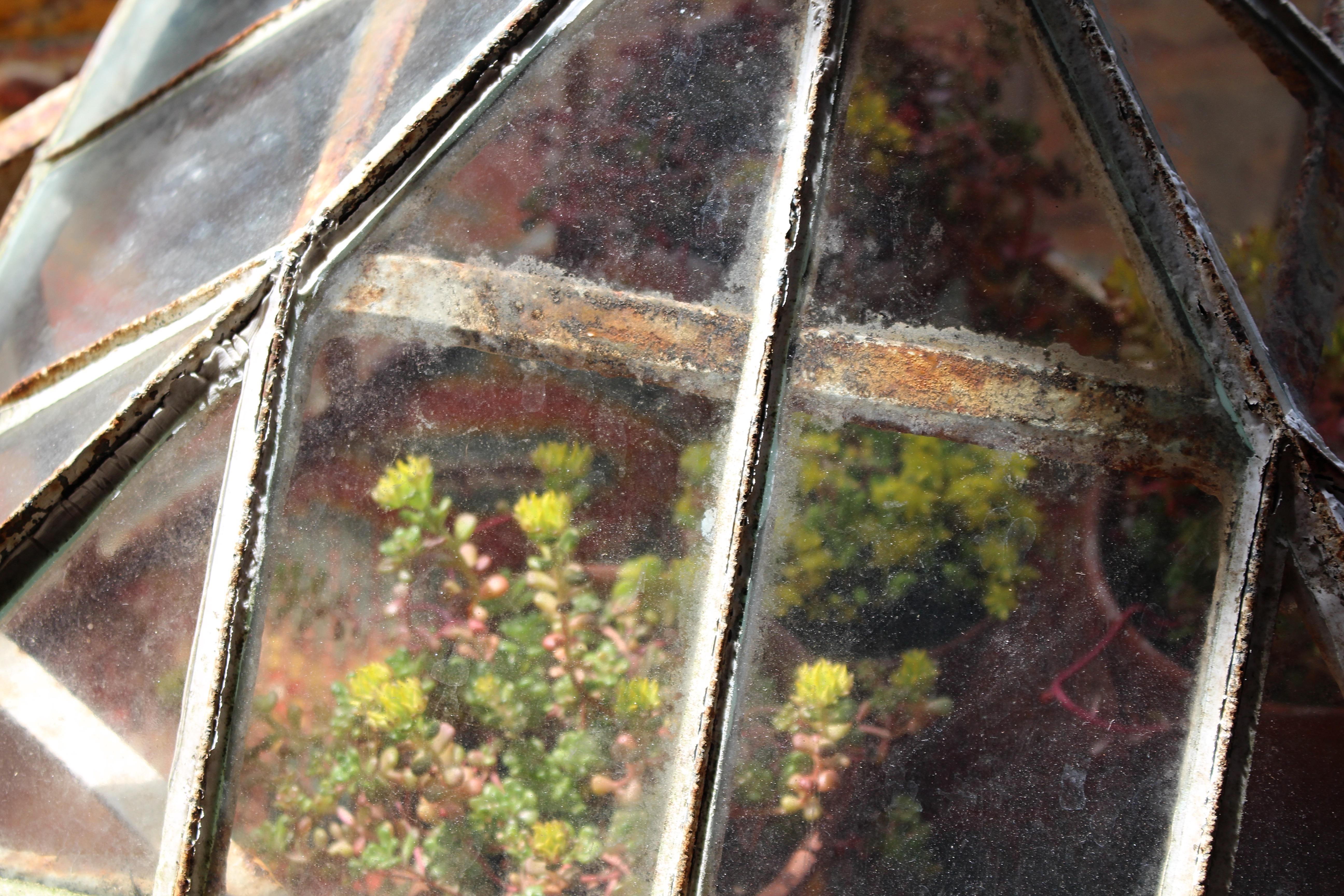 Cloche da giardino in ferro e vetro di una casa di campagna inglese dell'inizio del XIX secolo In condizioni buone in vendita a Lowestoft, GB