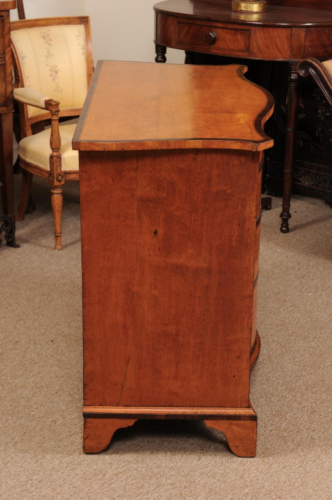 Early 19th Century English George III Satinwood Chest with 4 Drawers 7