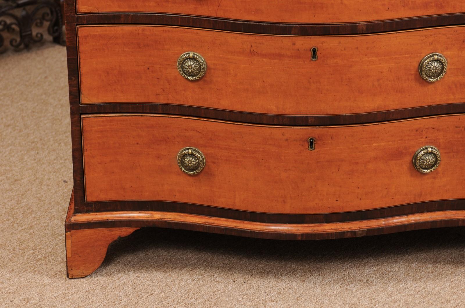 Early 19th Century English George III Satinwood Chest with 4 Drawers 1